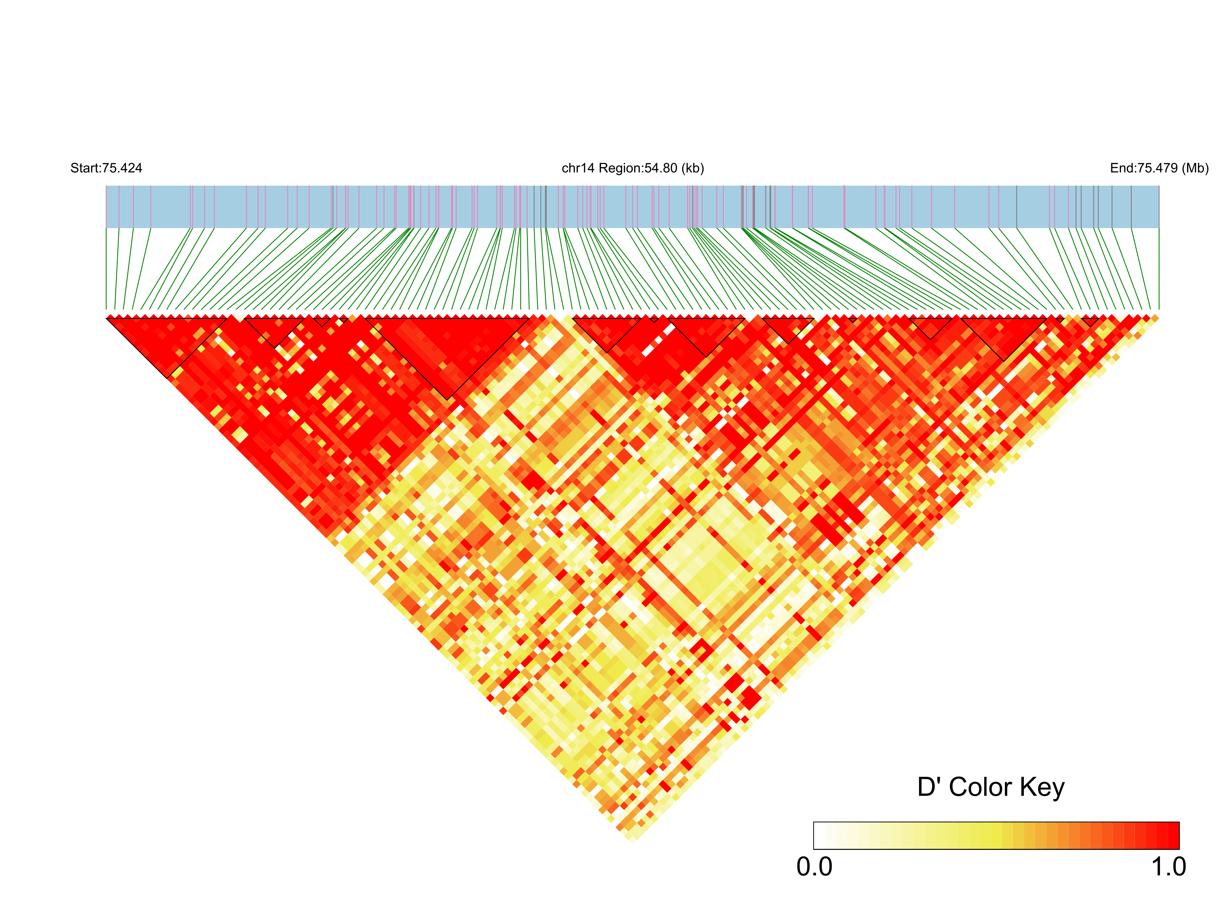 LD