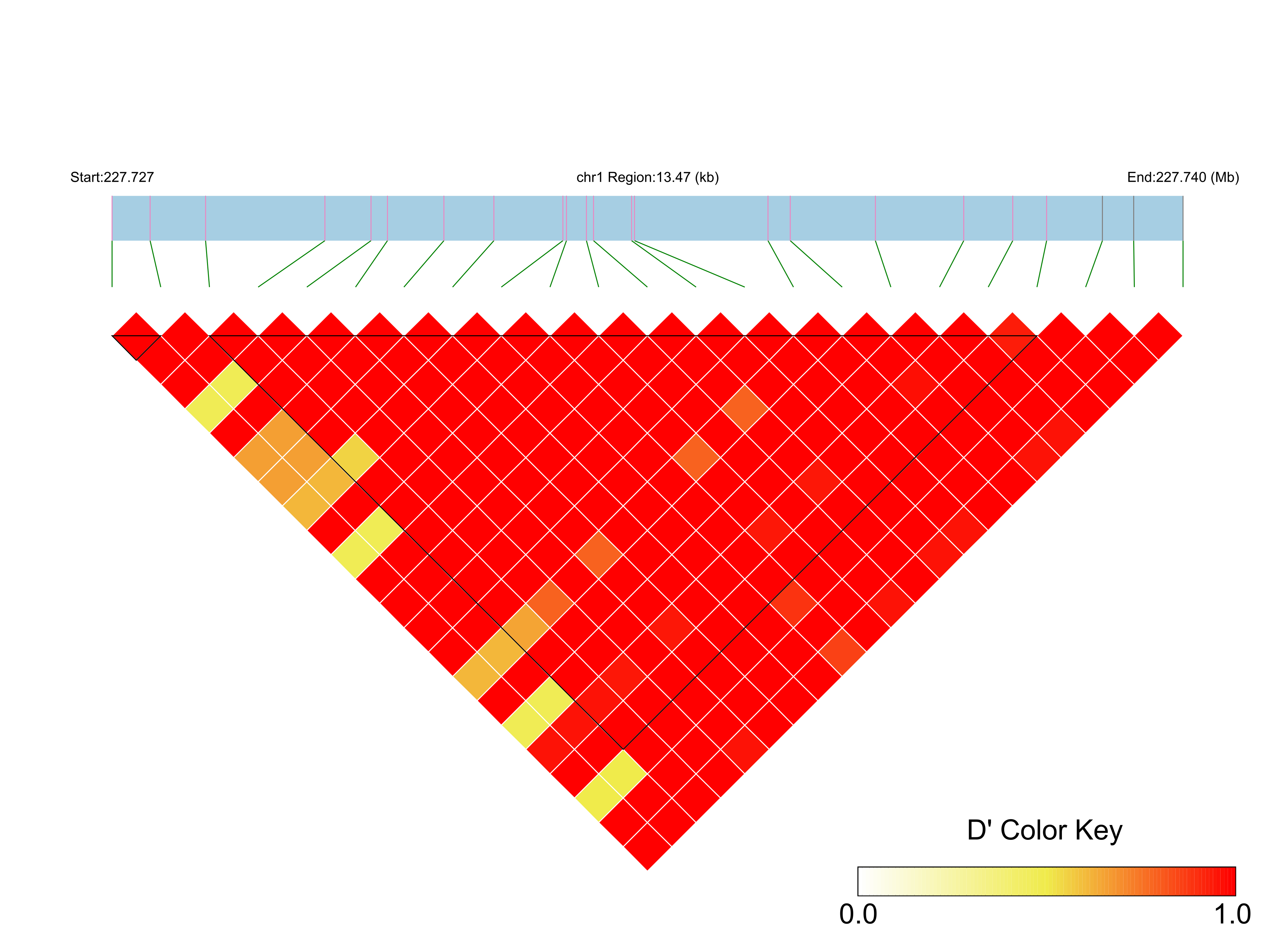 LD