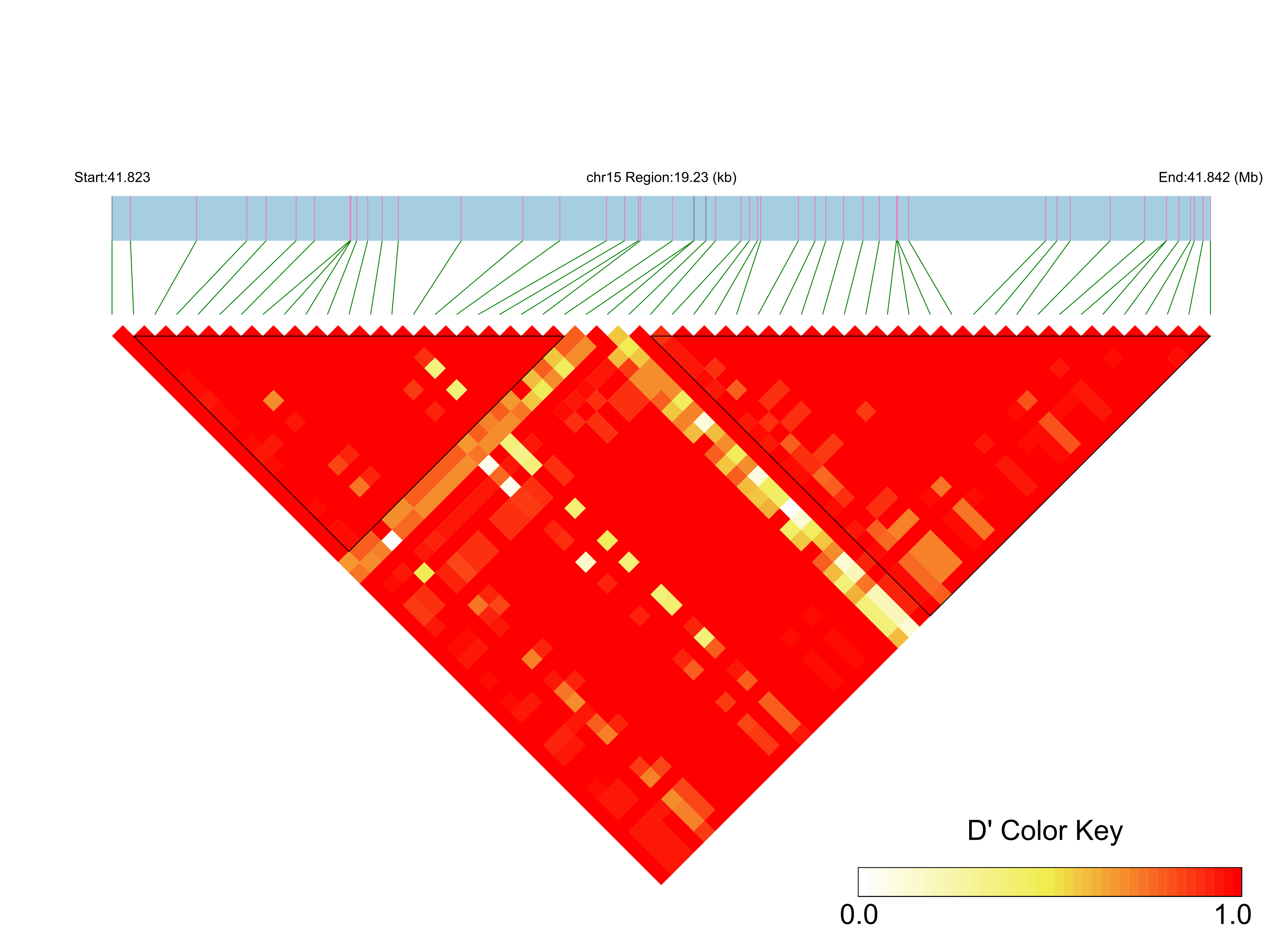 LD