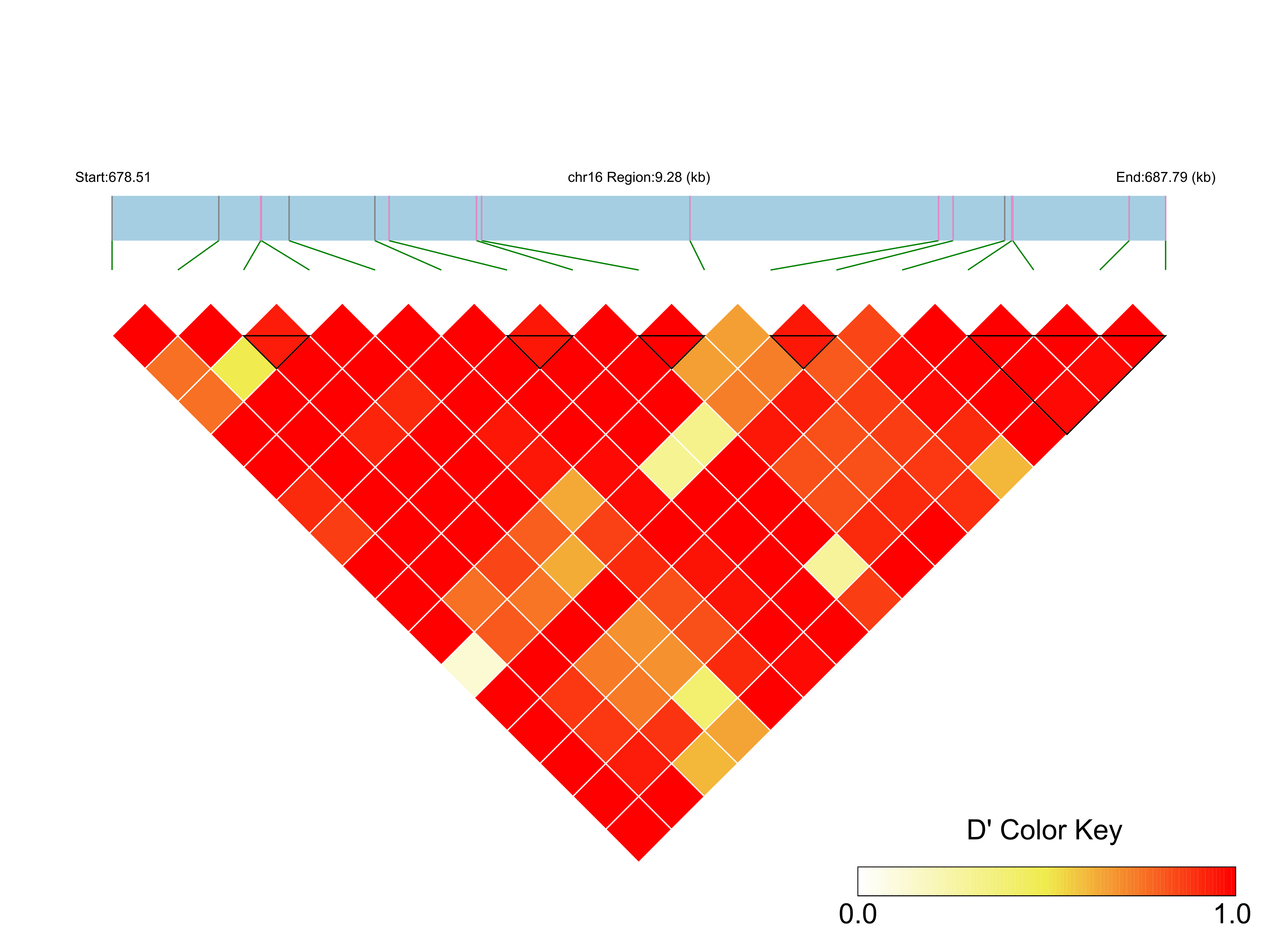 LD