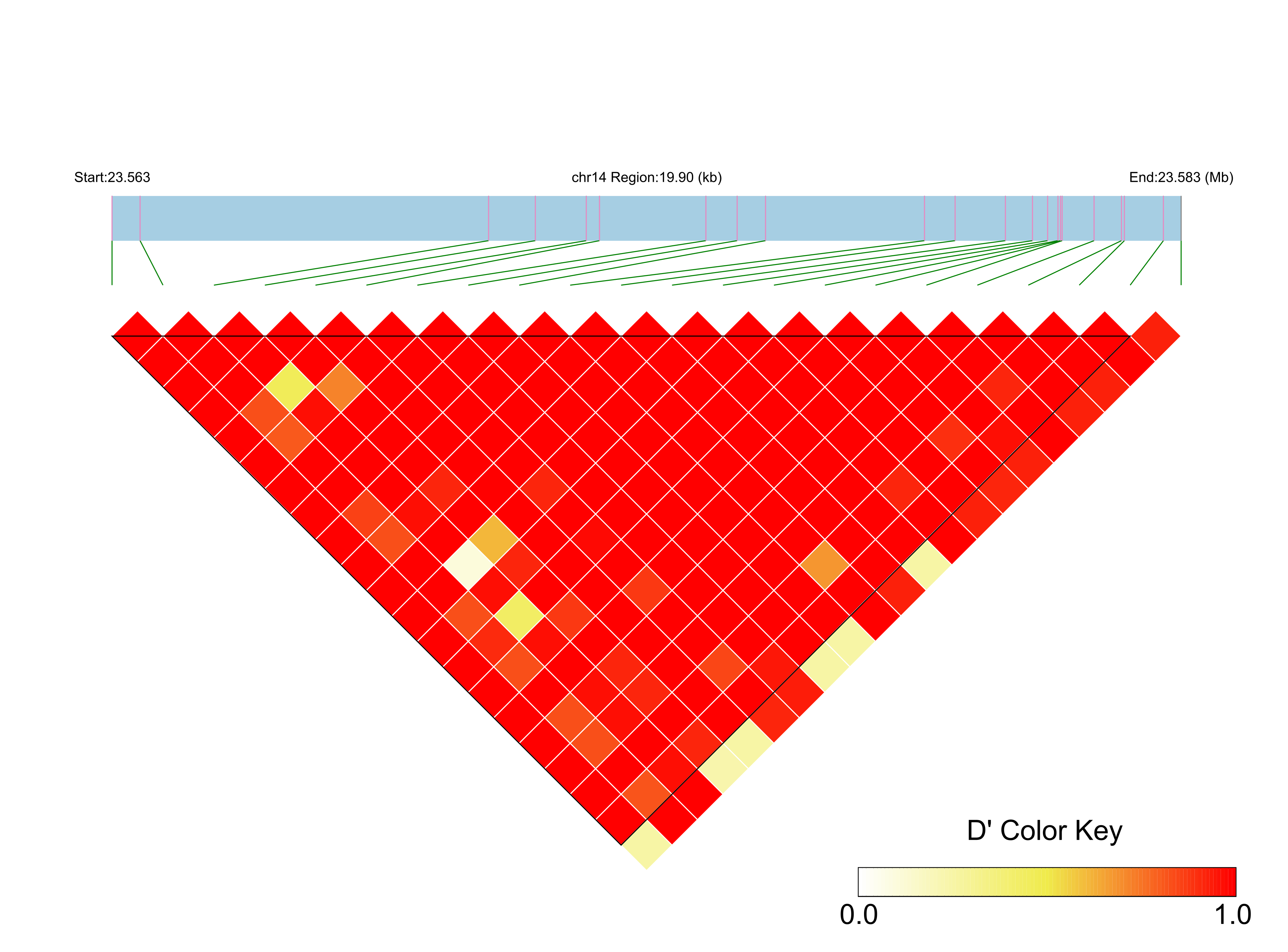 LD
