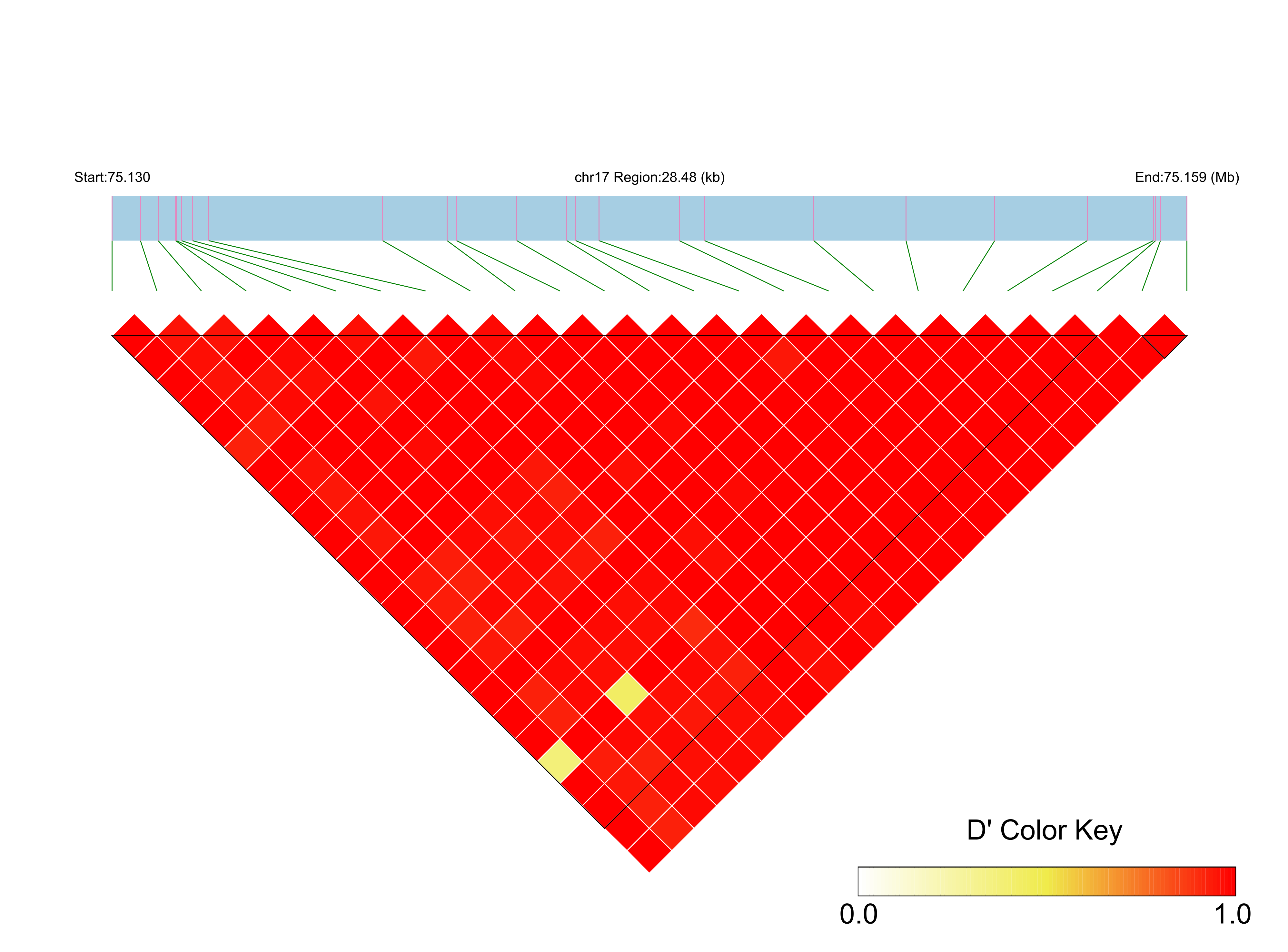 LD
