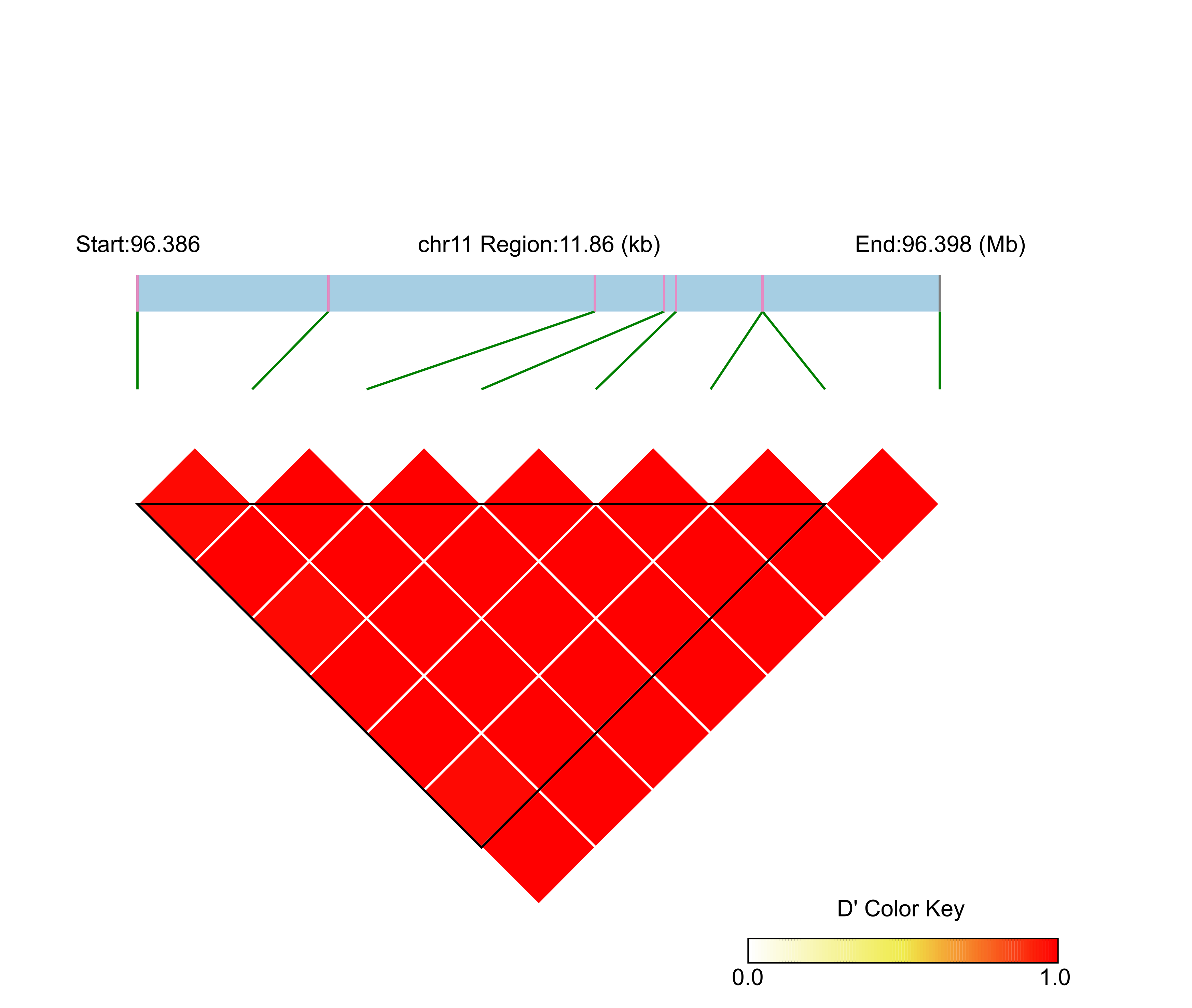 LD