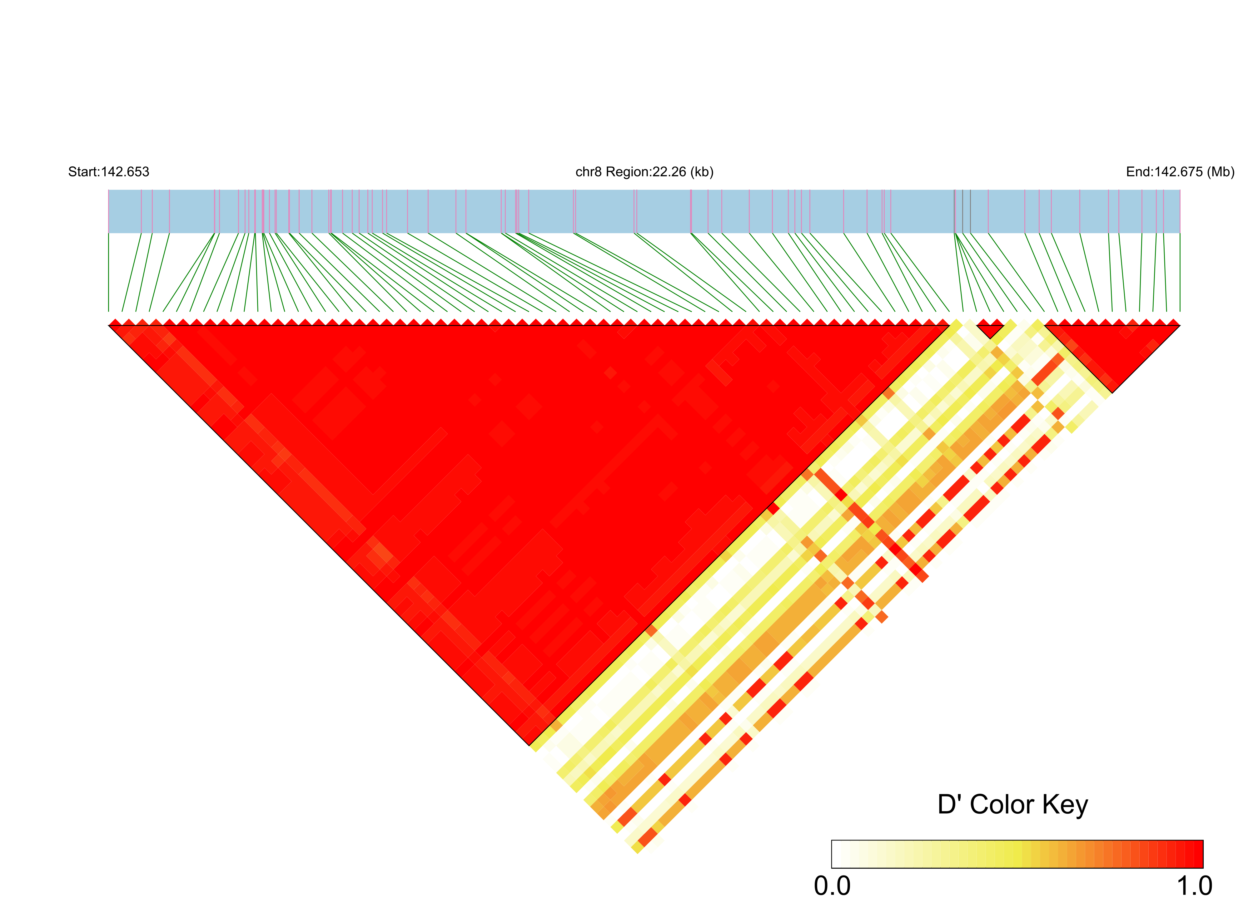 LD