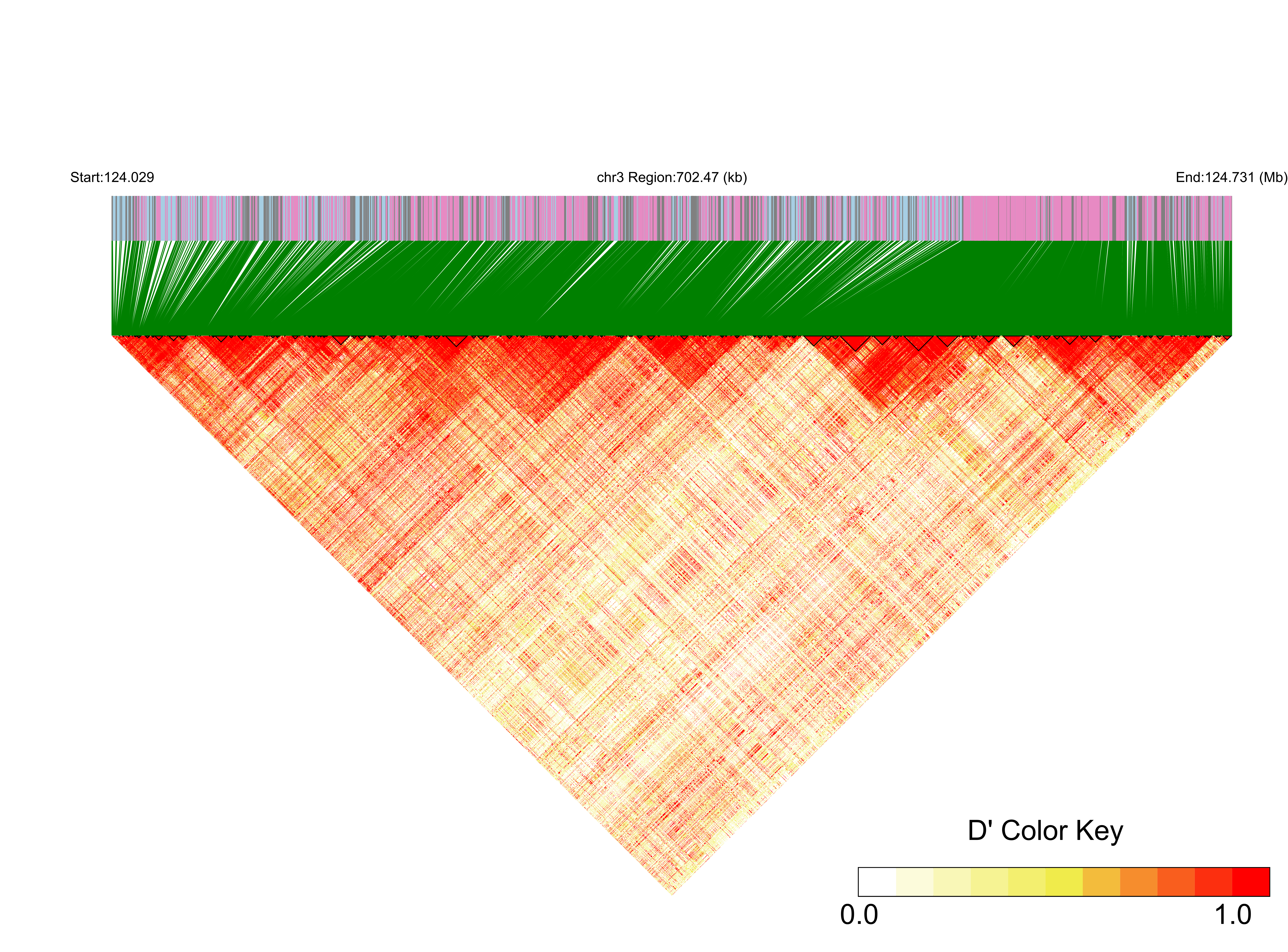 LD