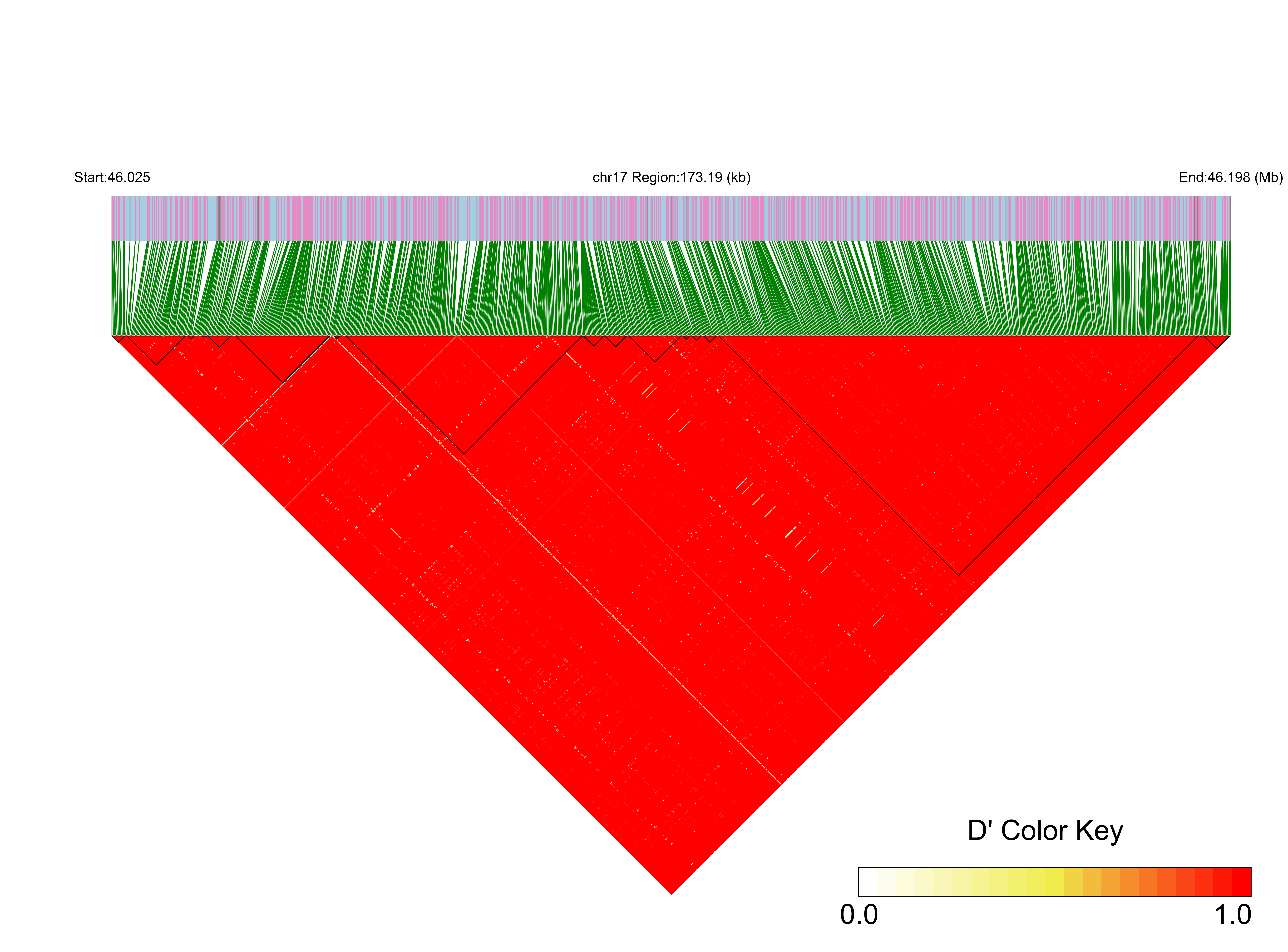 LD