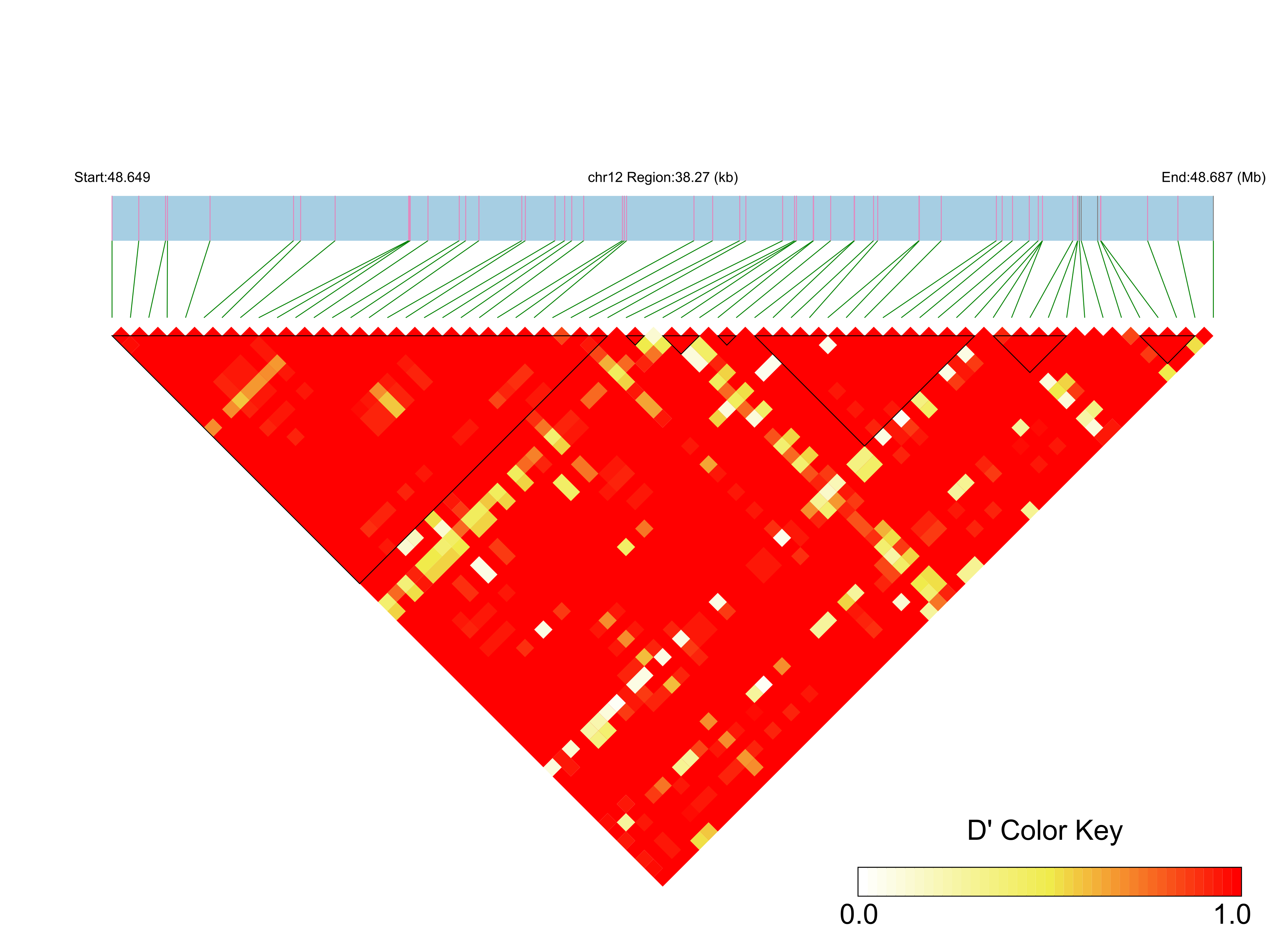 LD