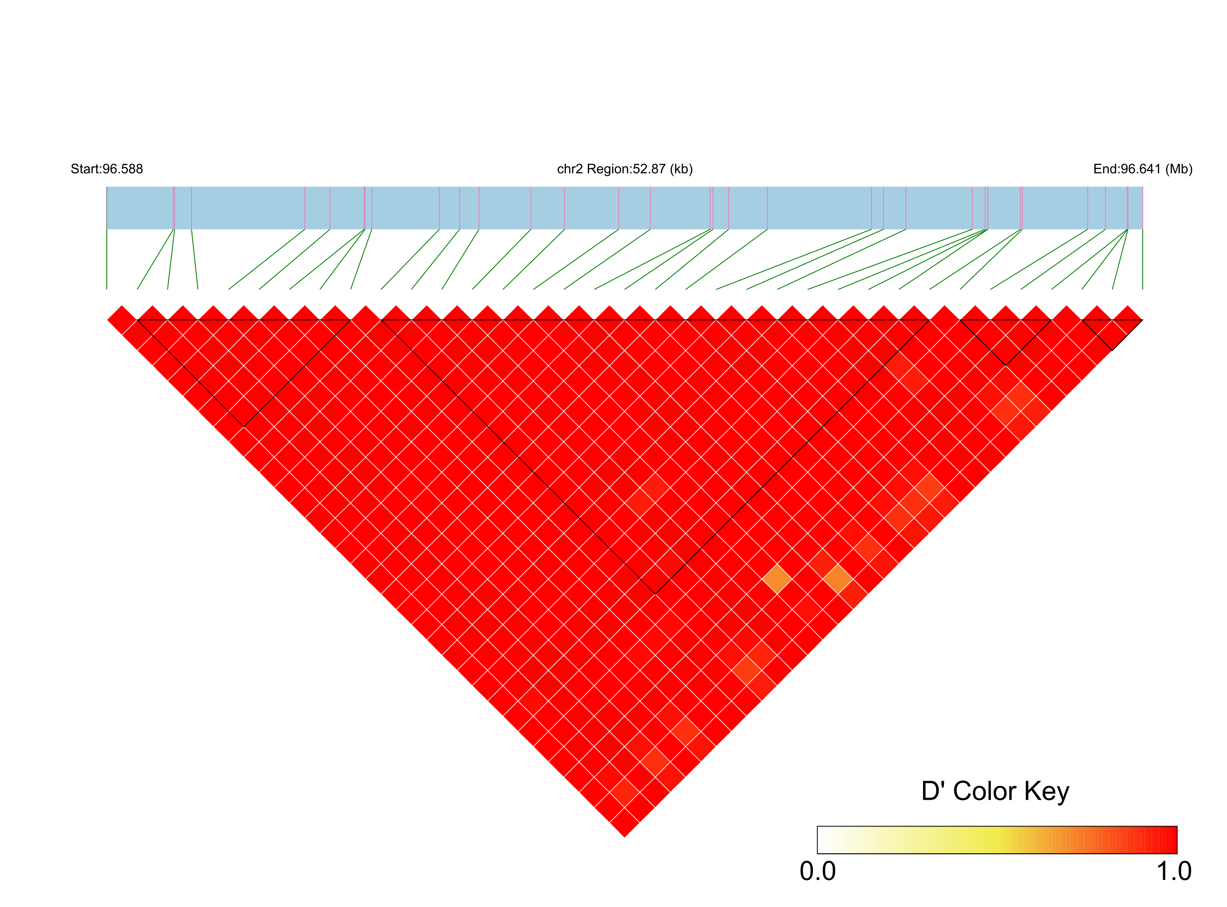 LD