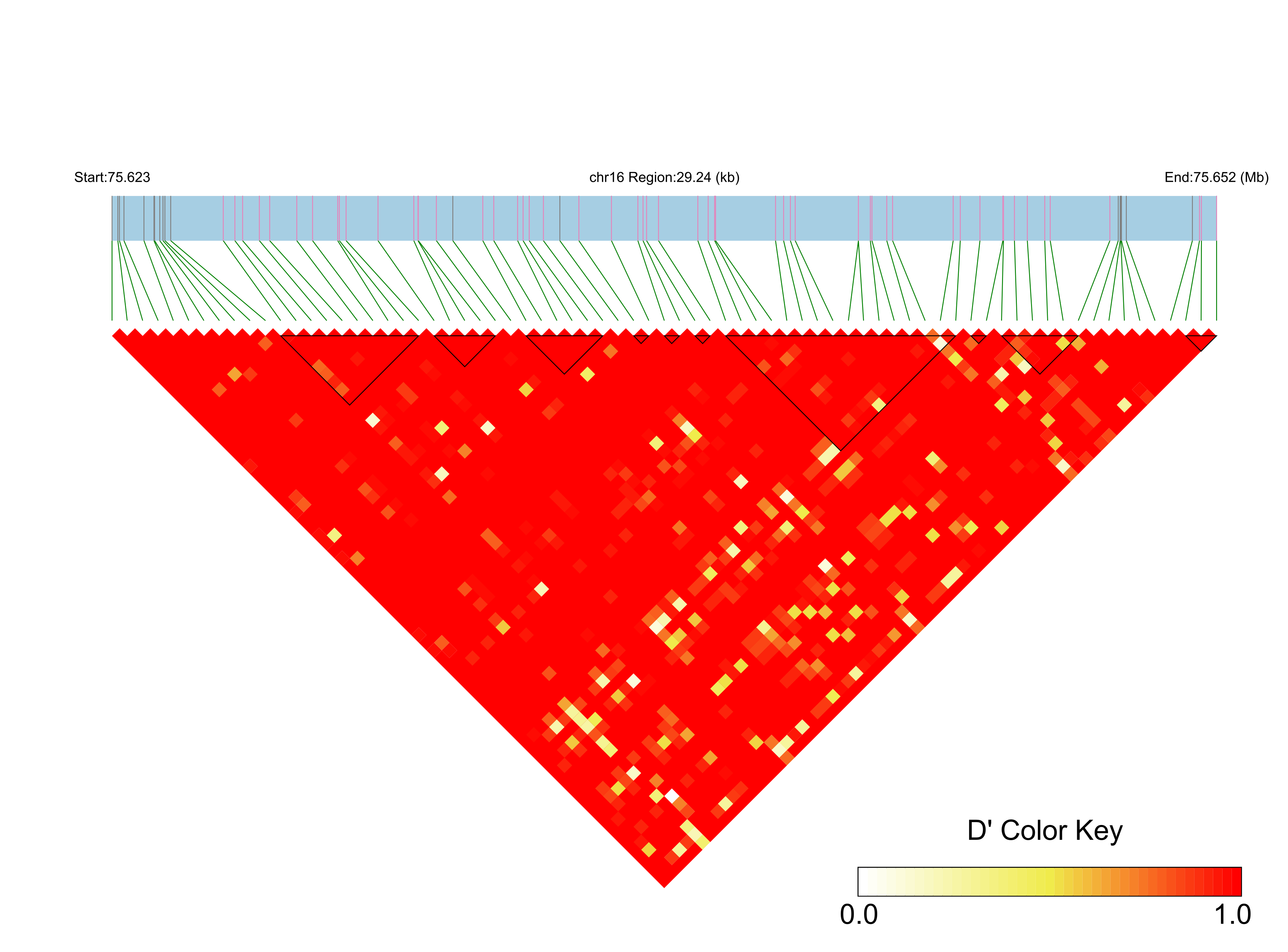 LD