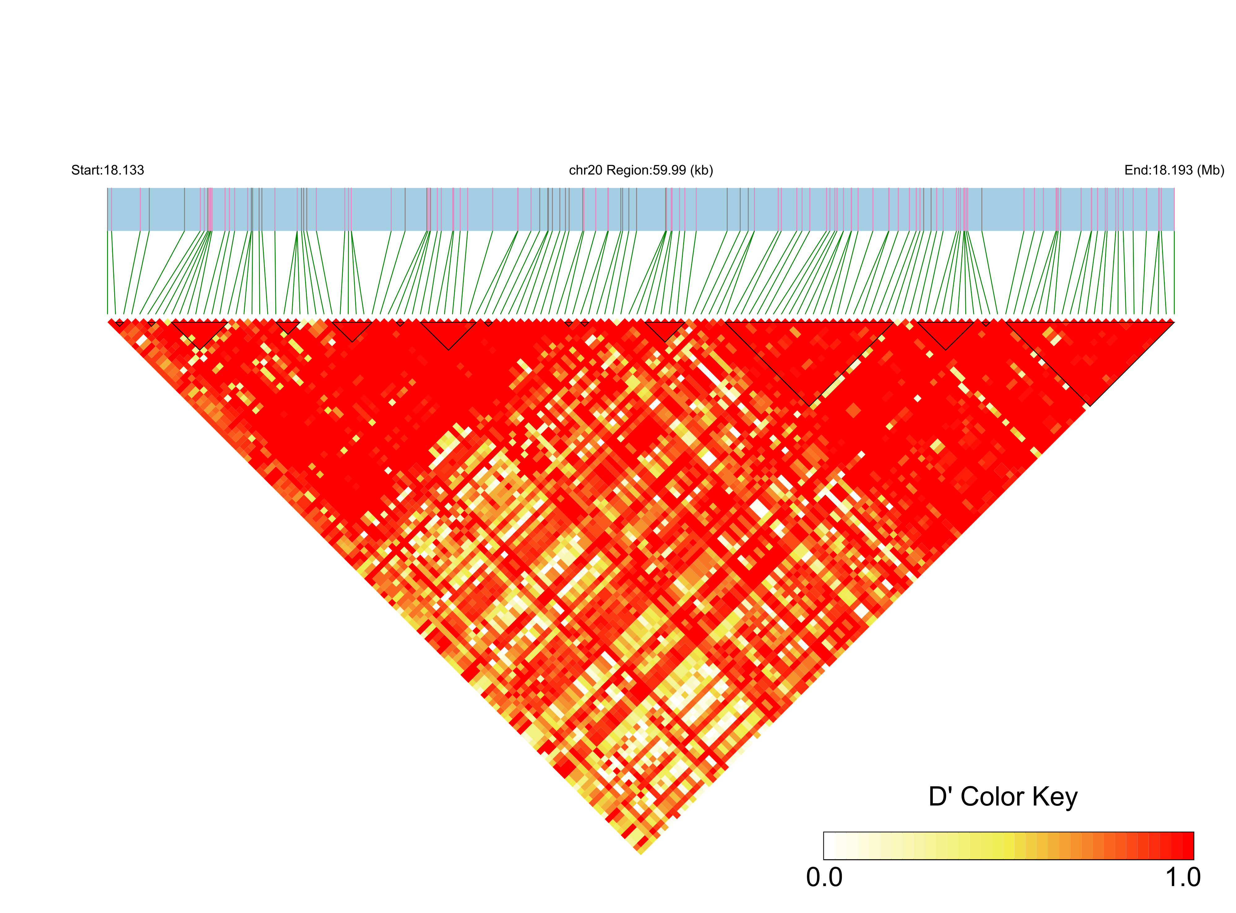 LD