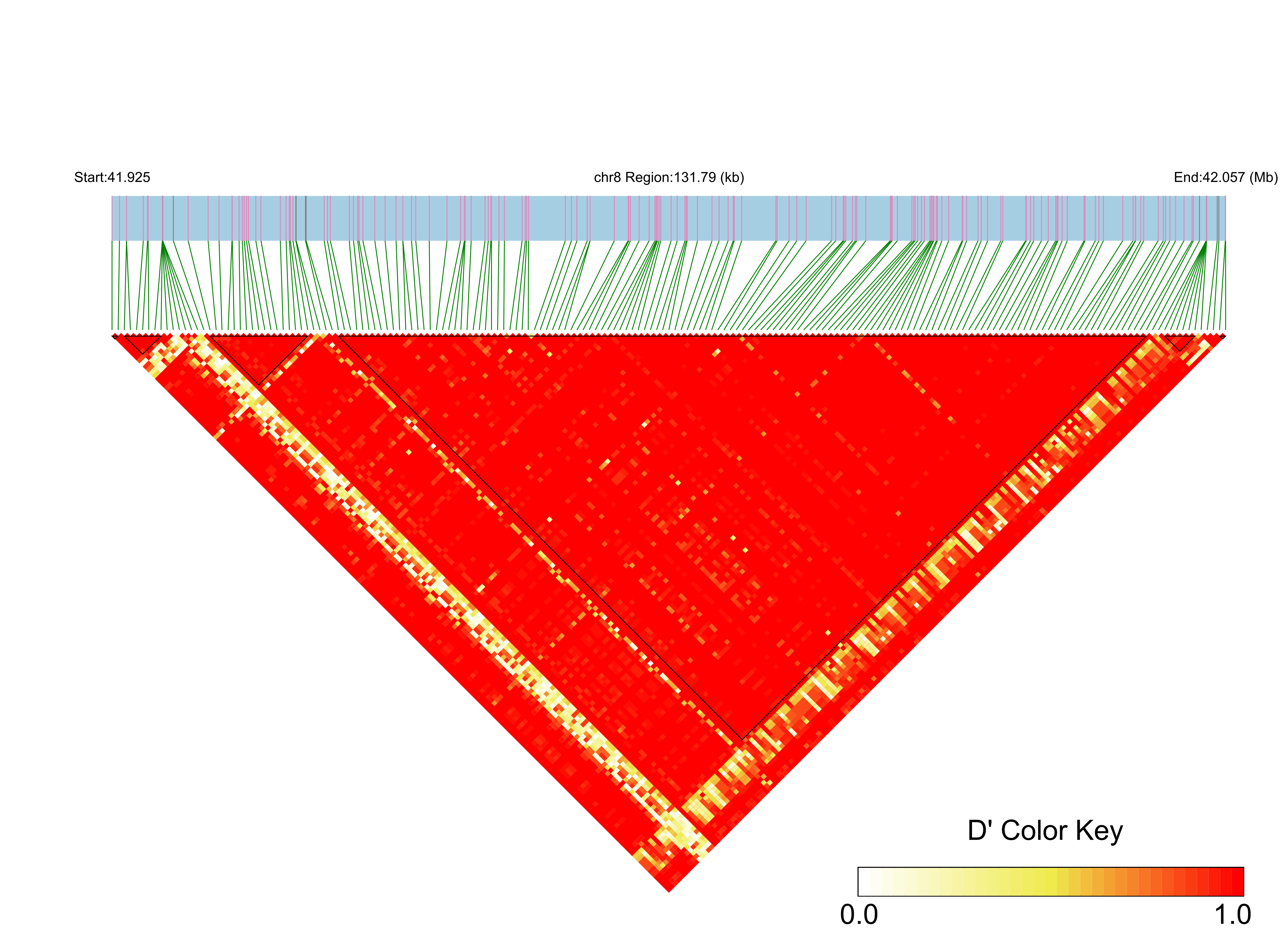 LD