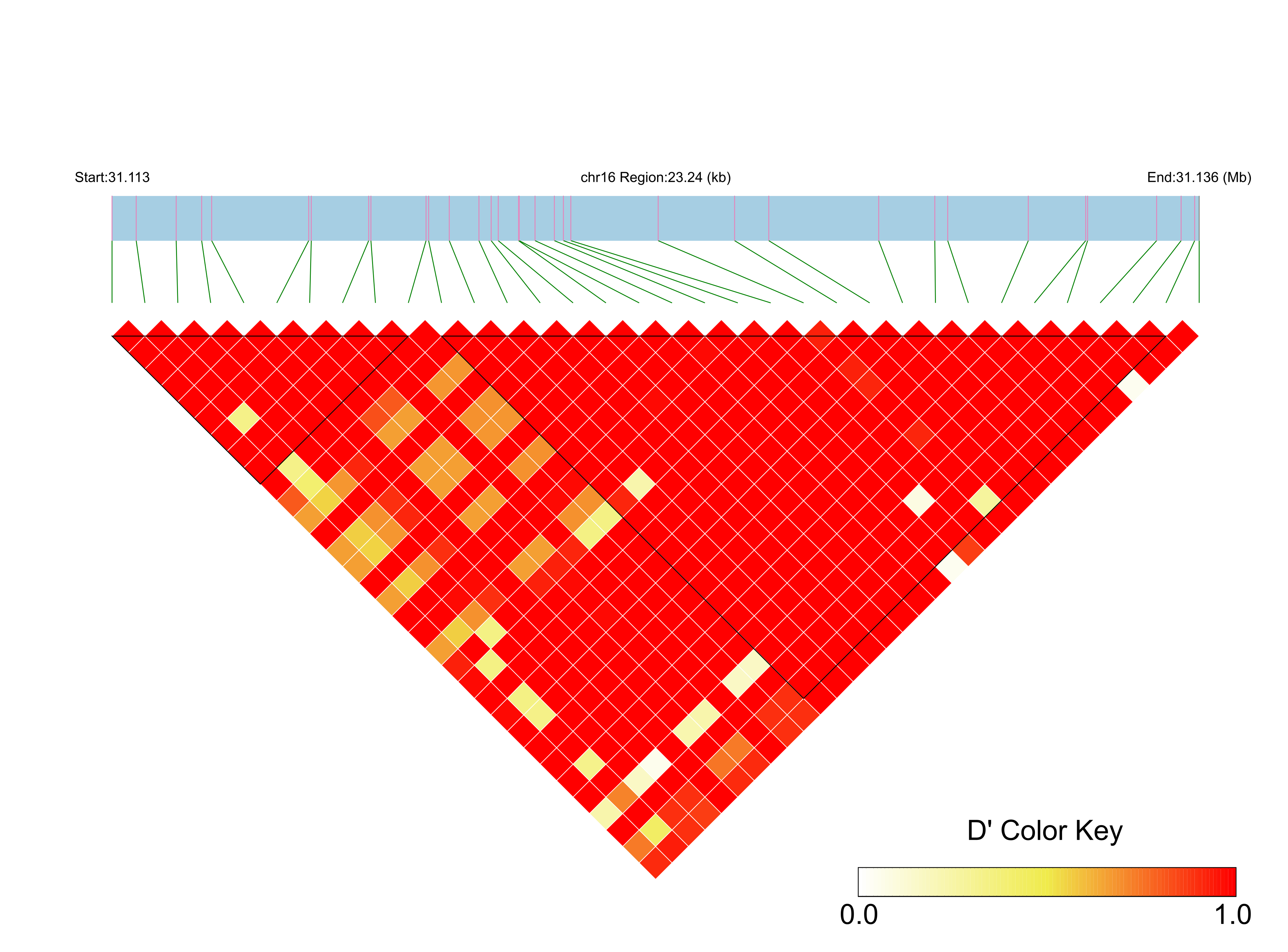 LD