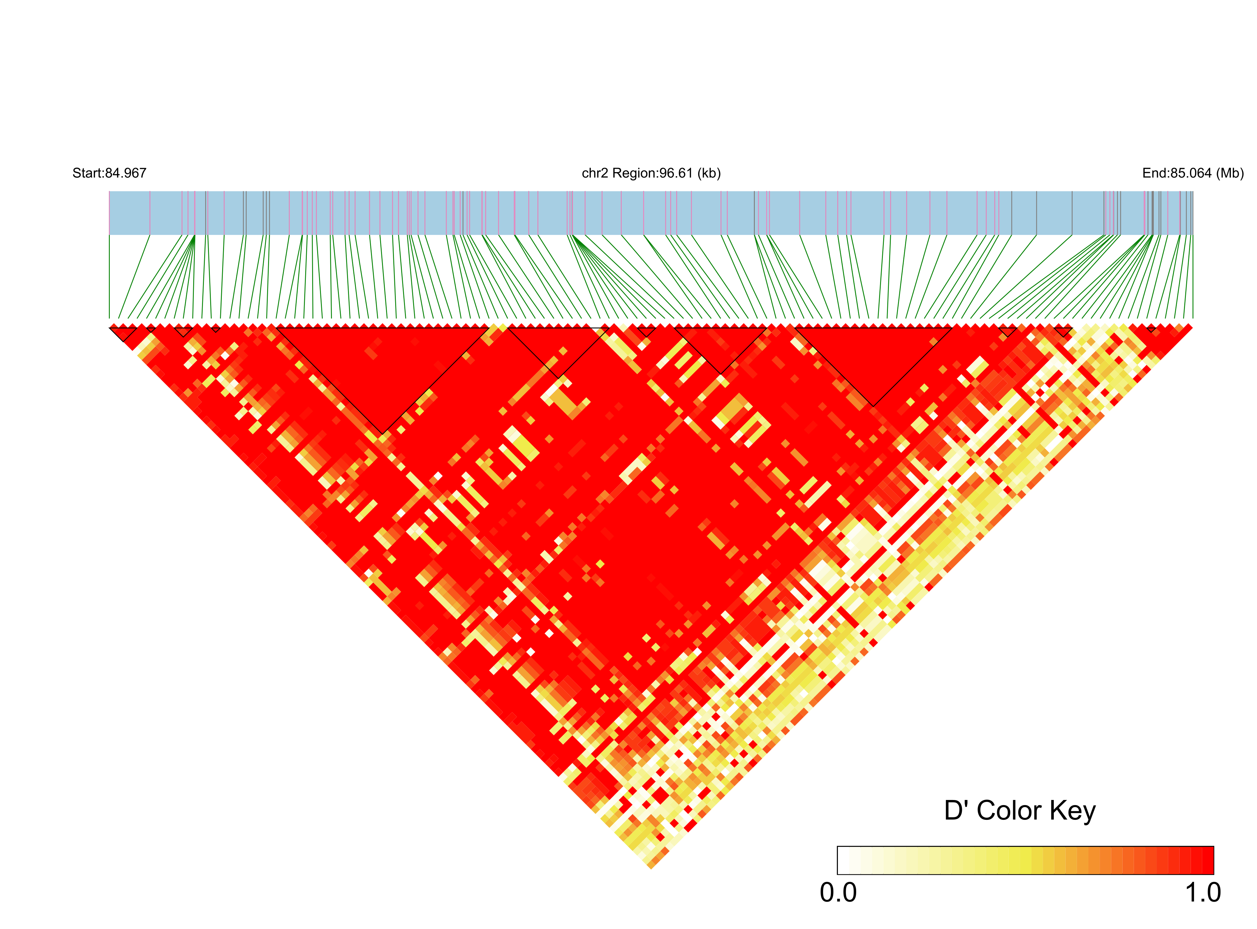 LD