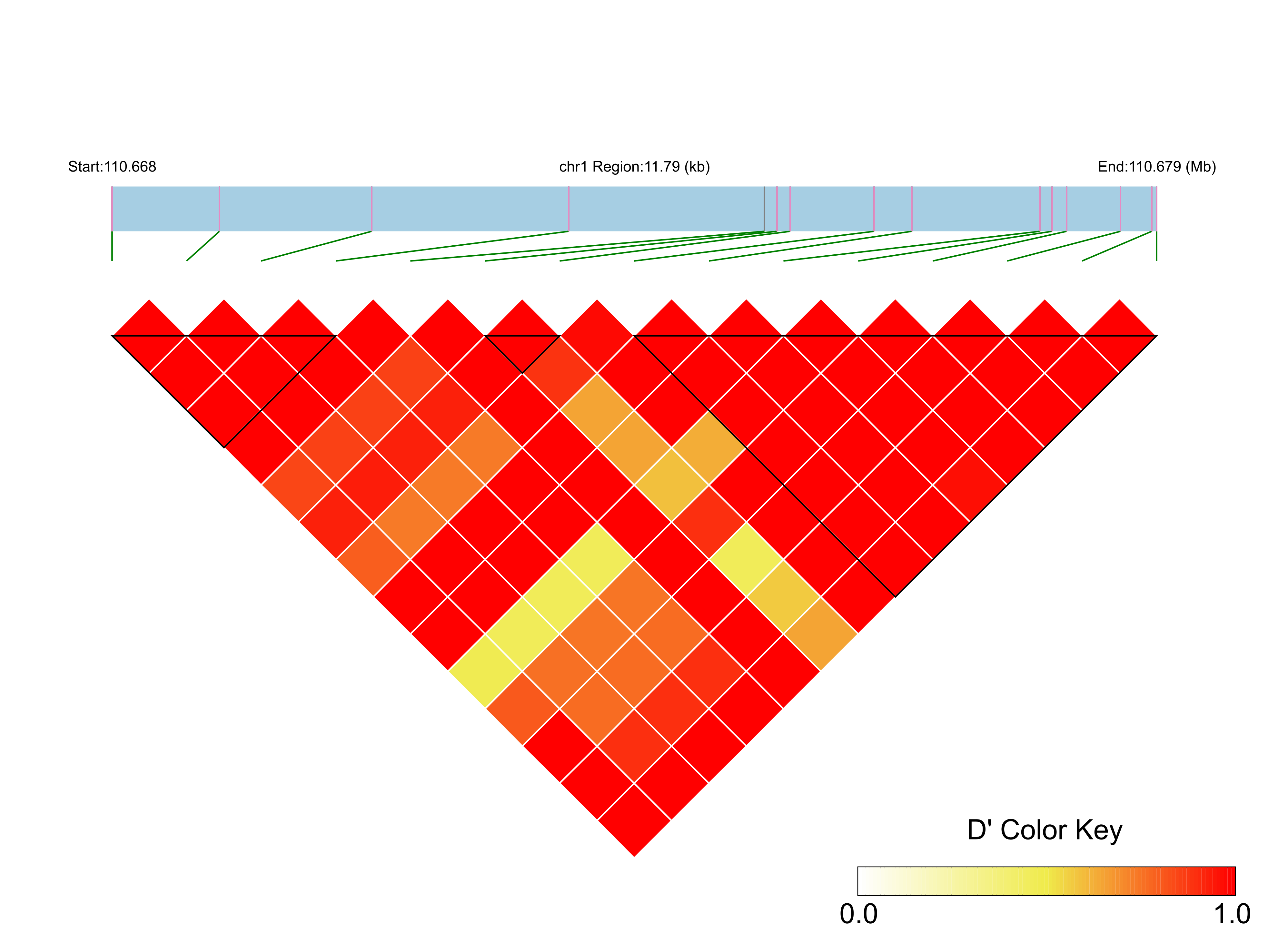 LD