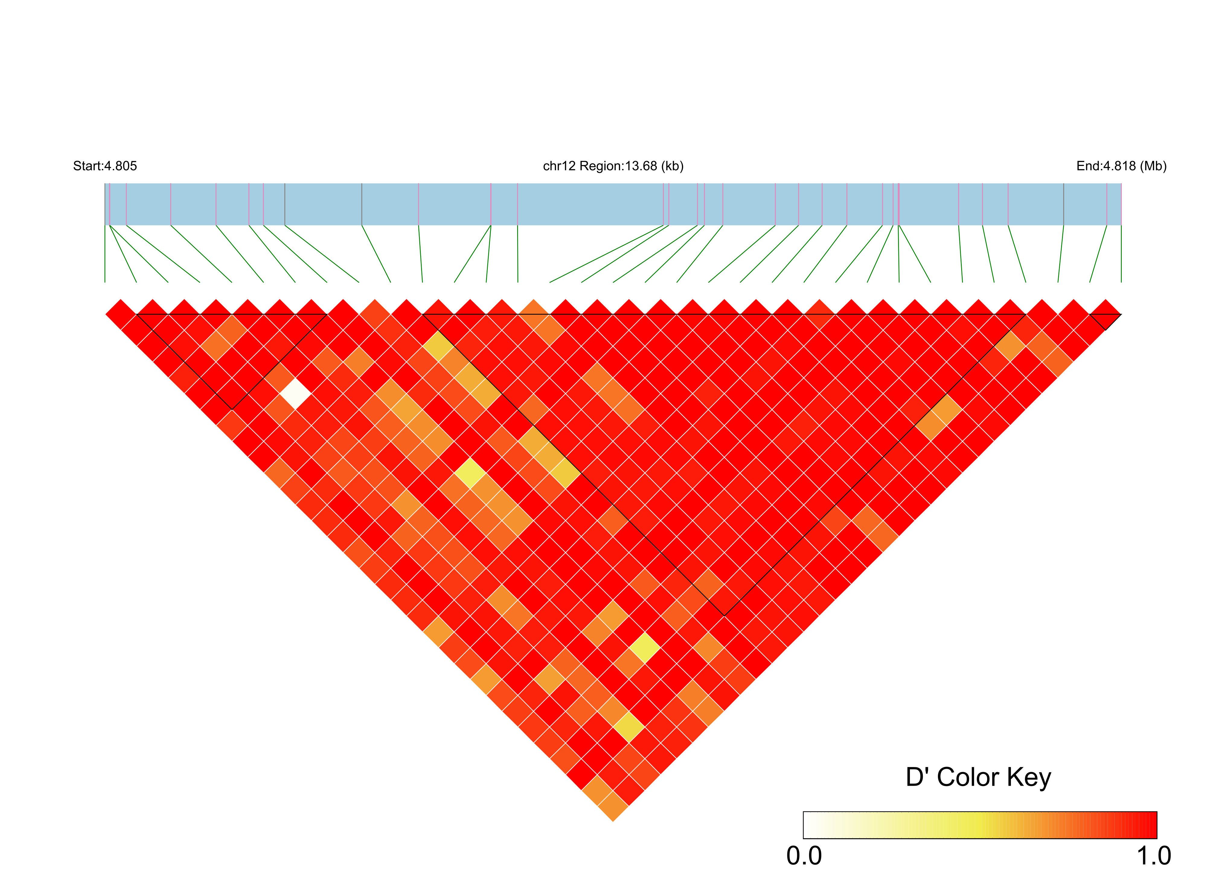 LD