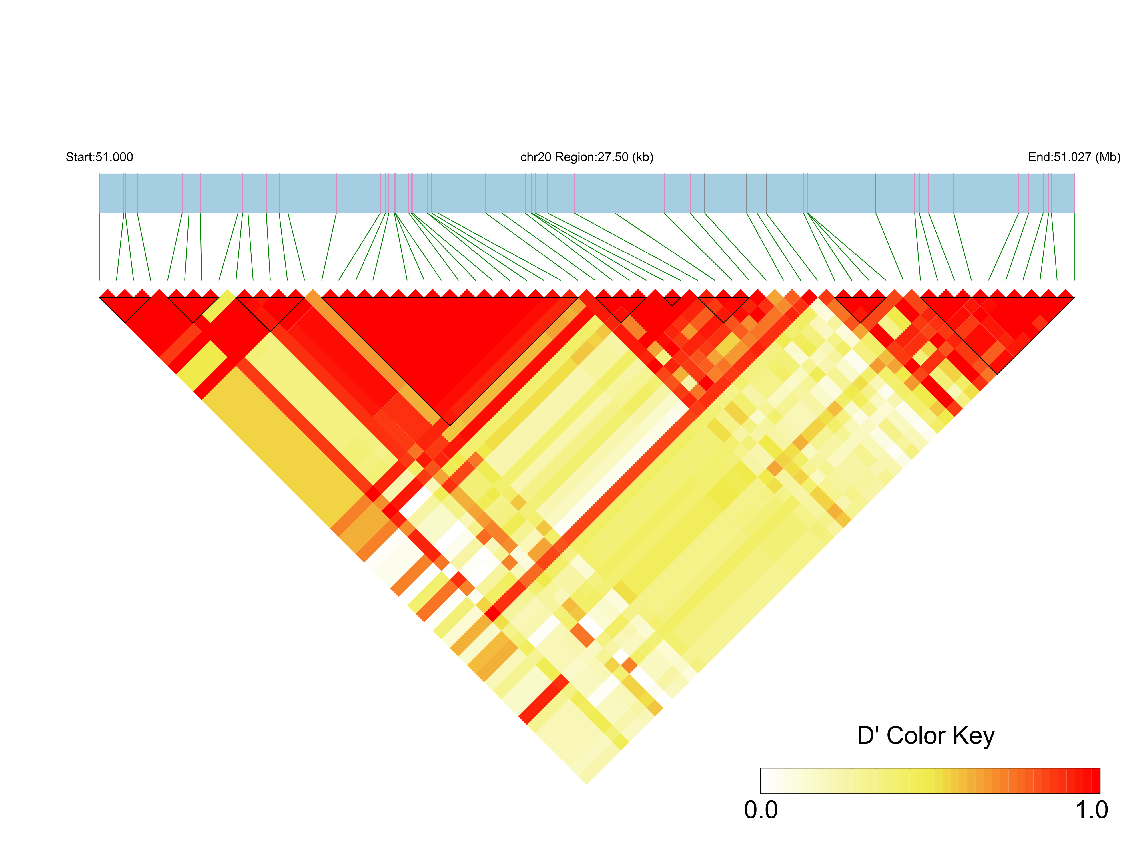 LD