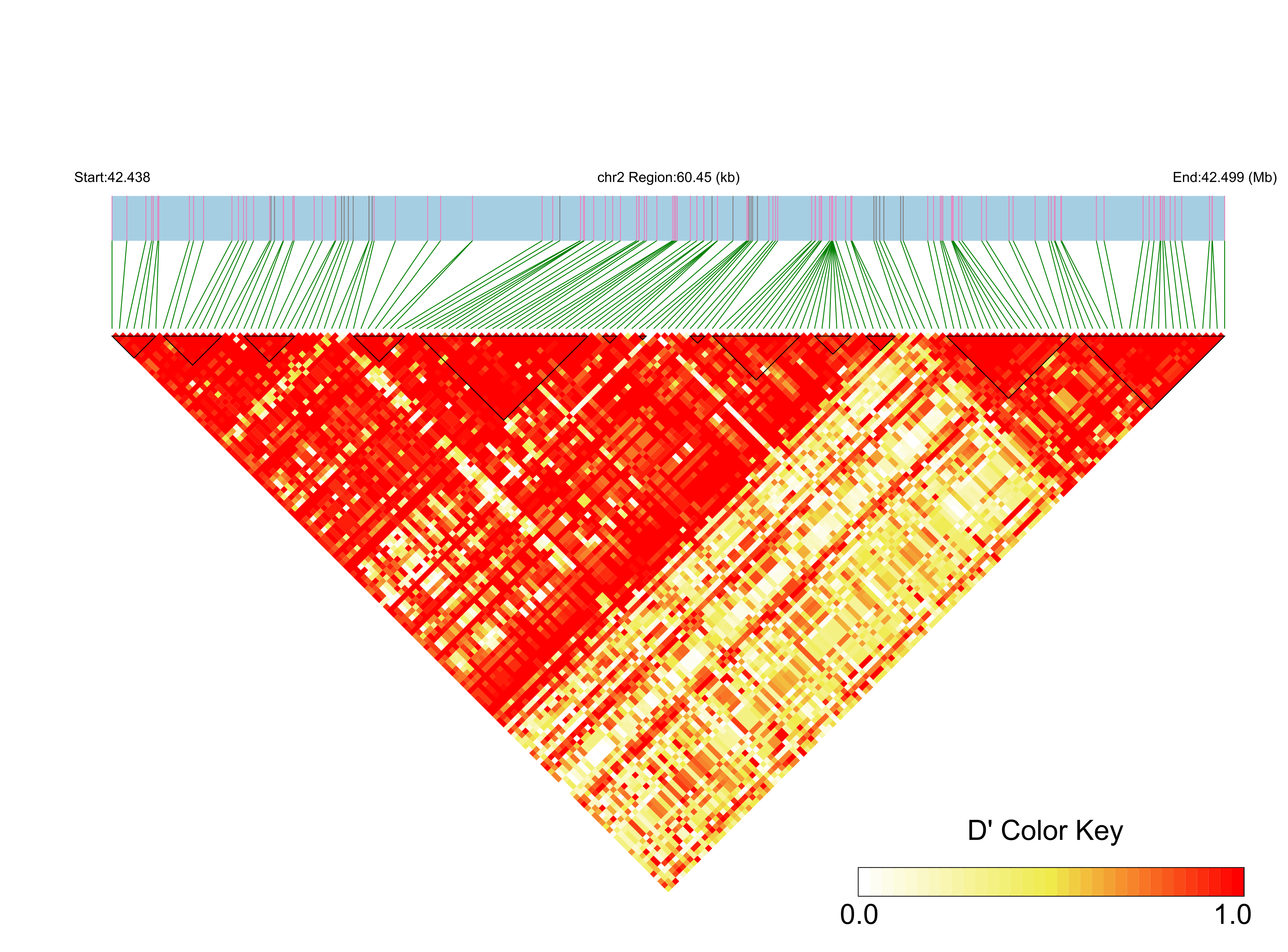 LD