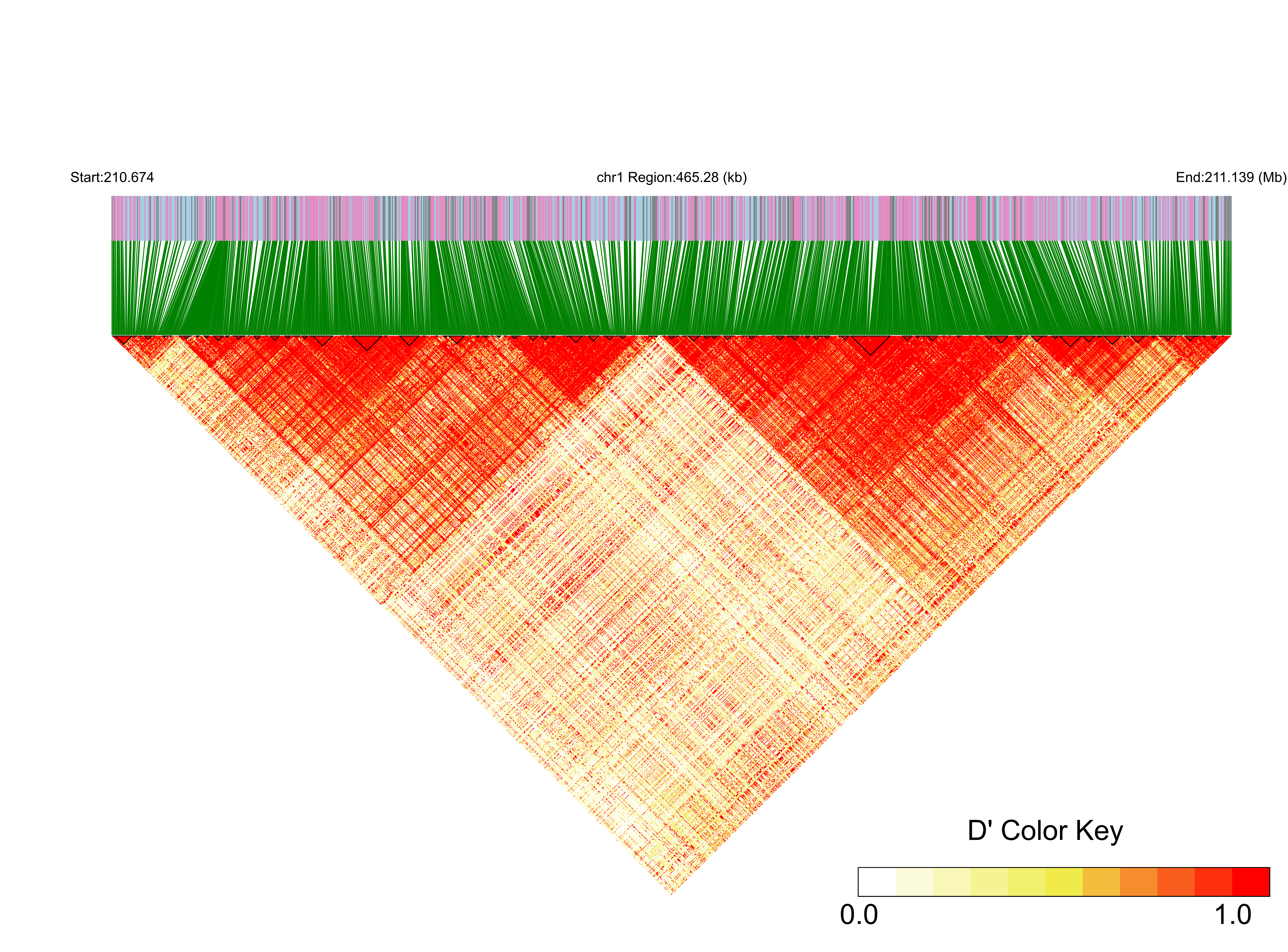LD