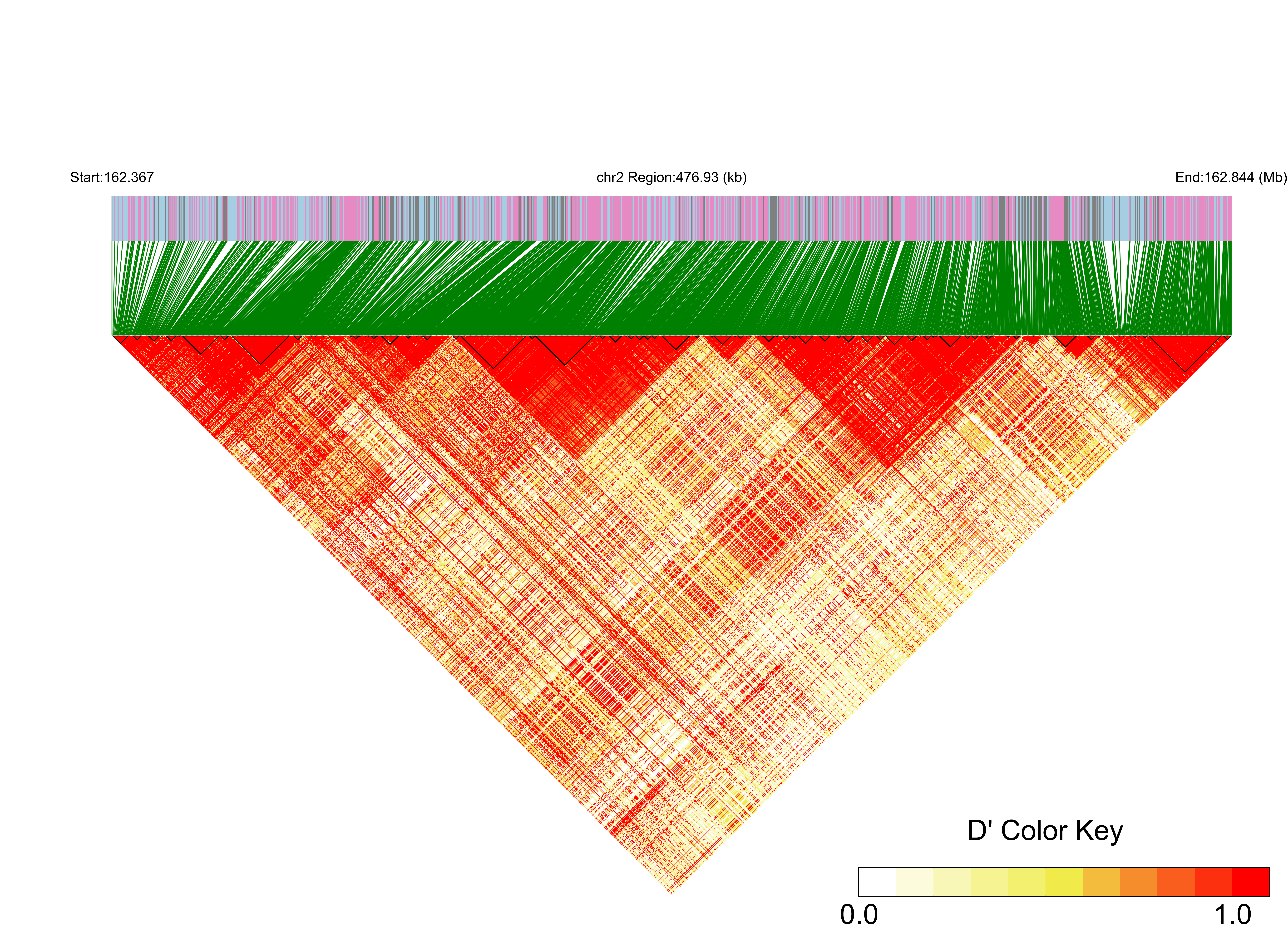 LD
