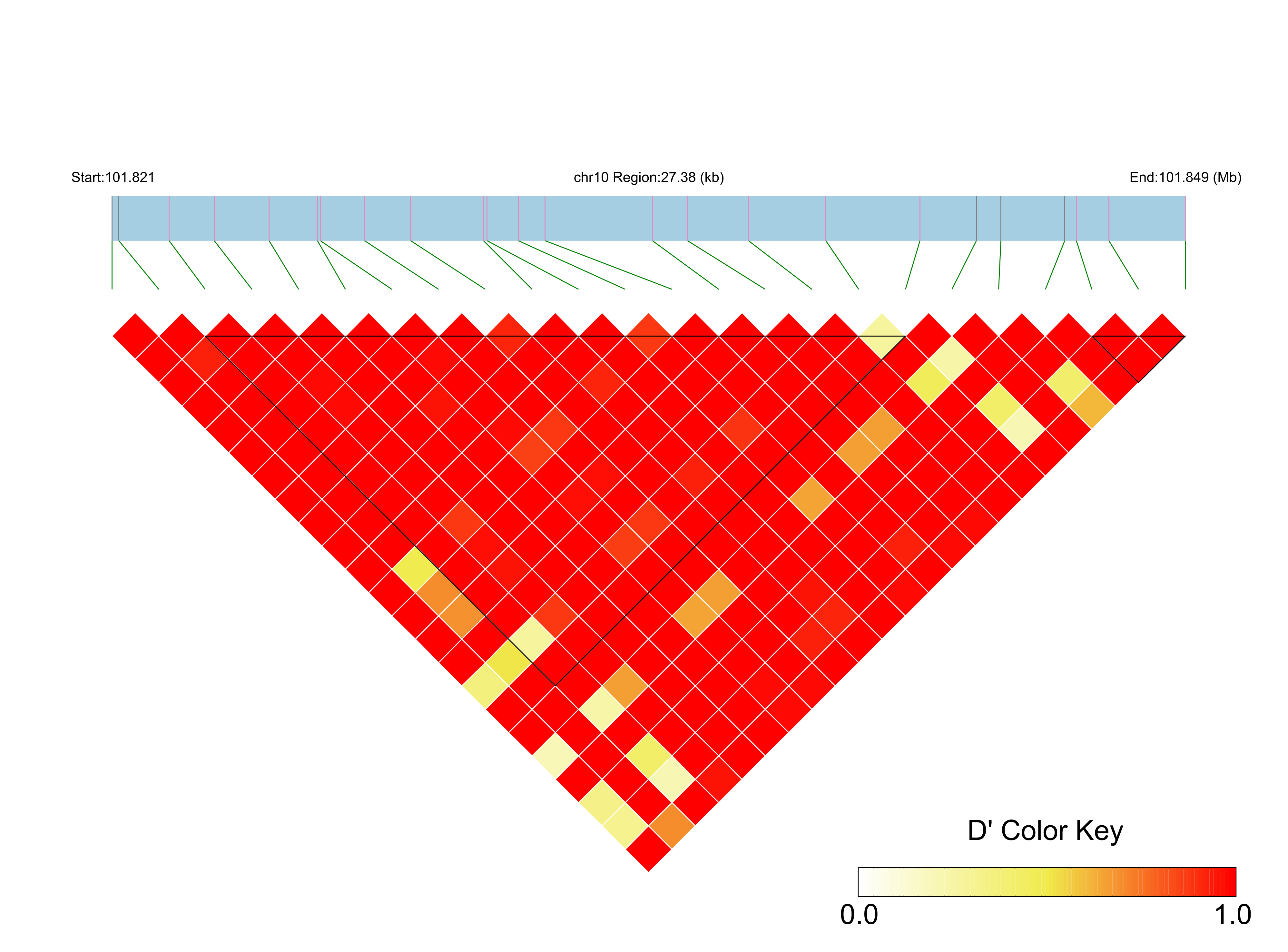 LD