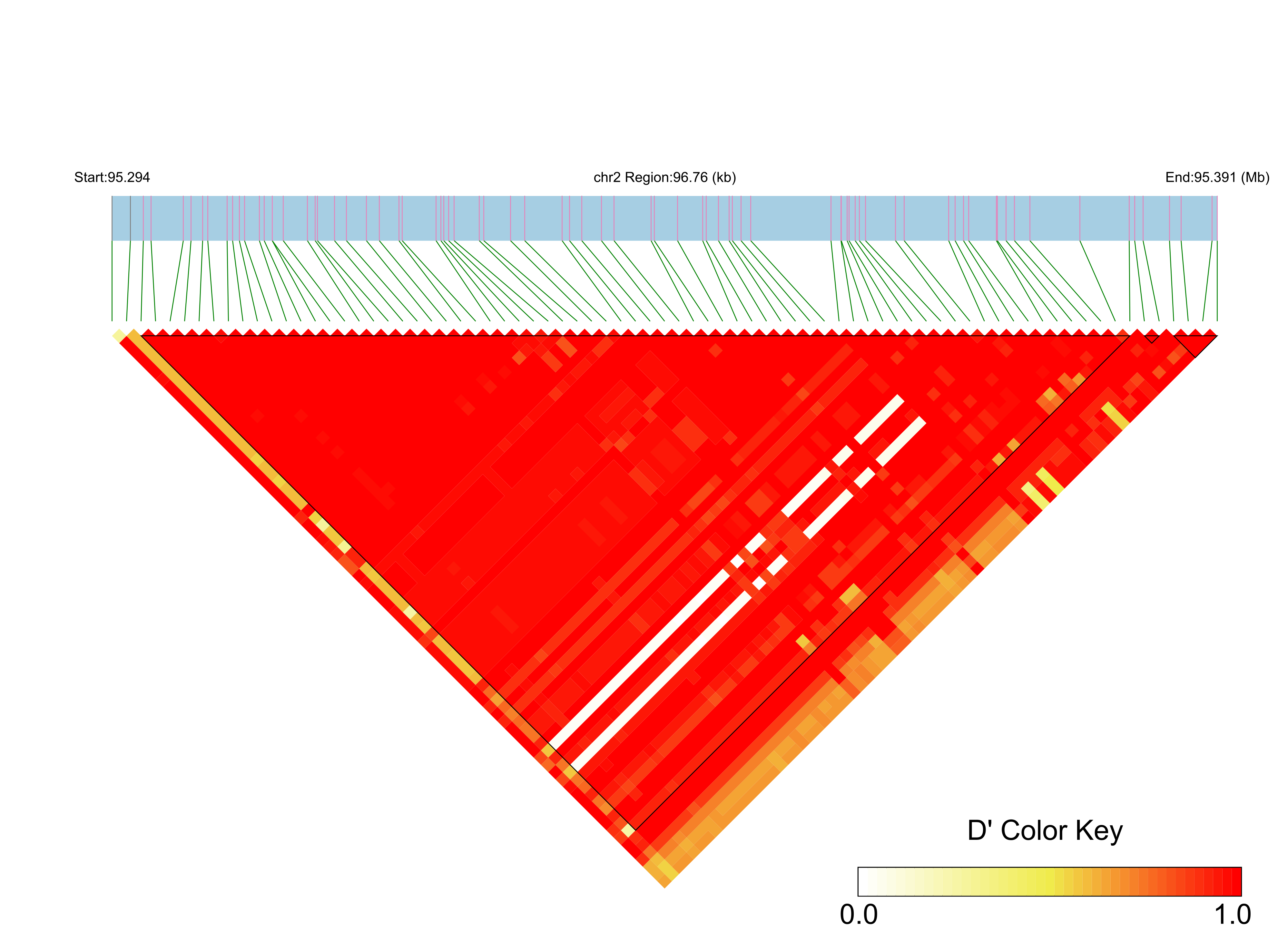 LD