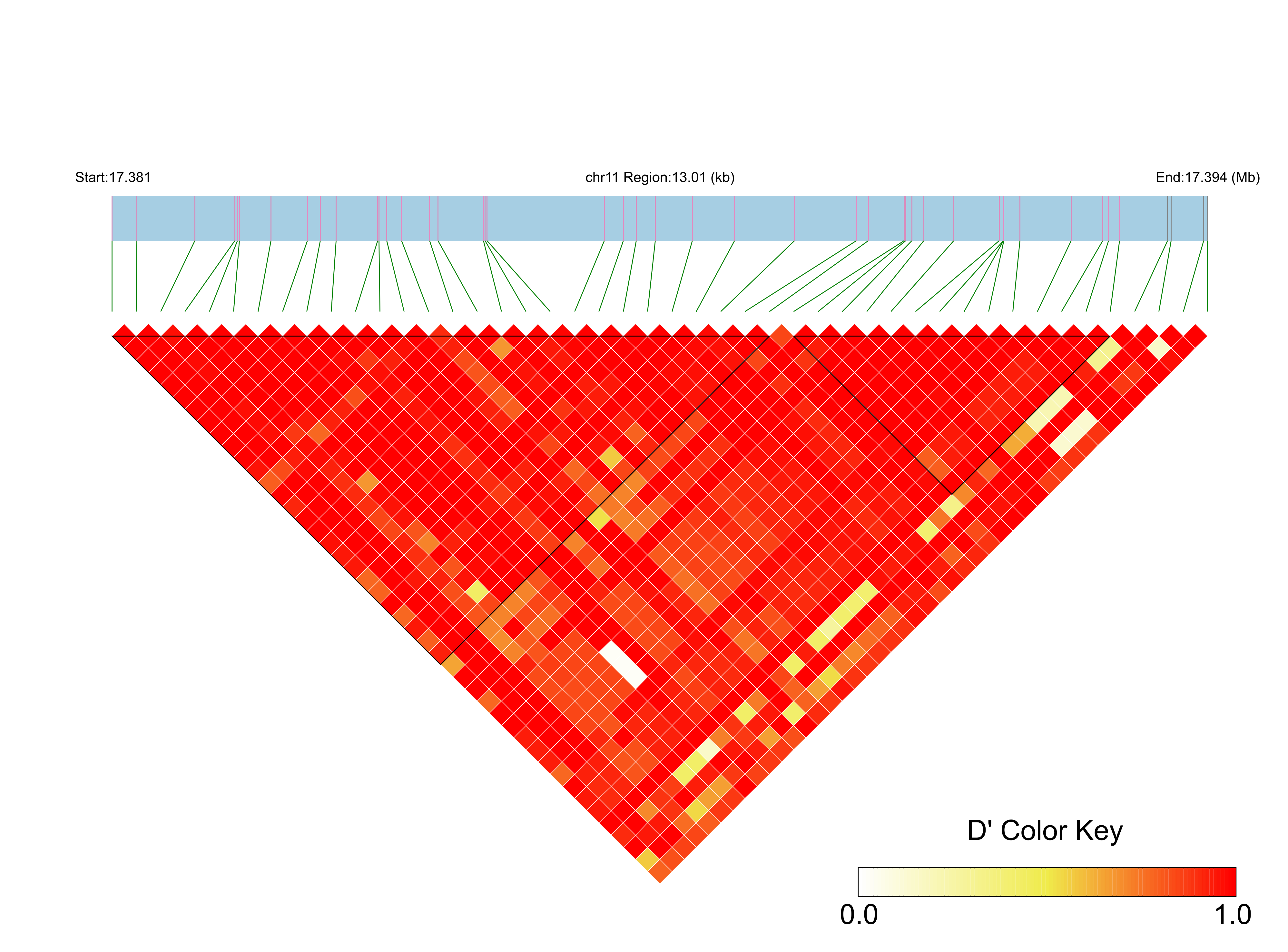 LD