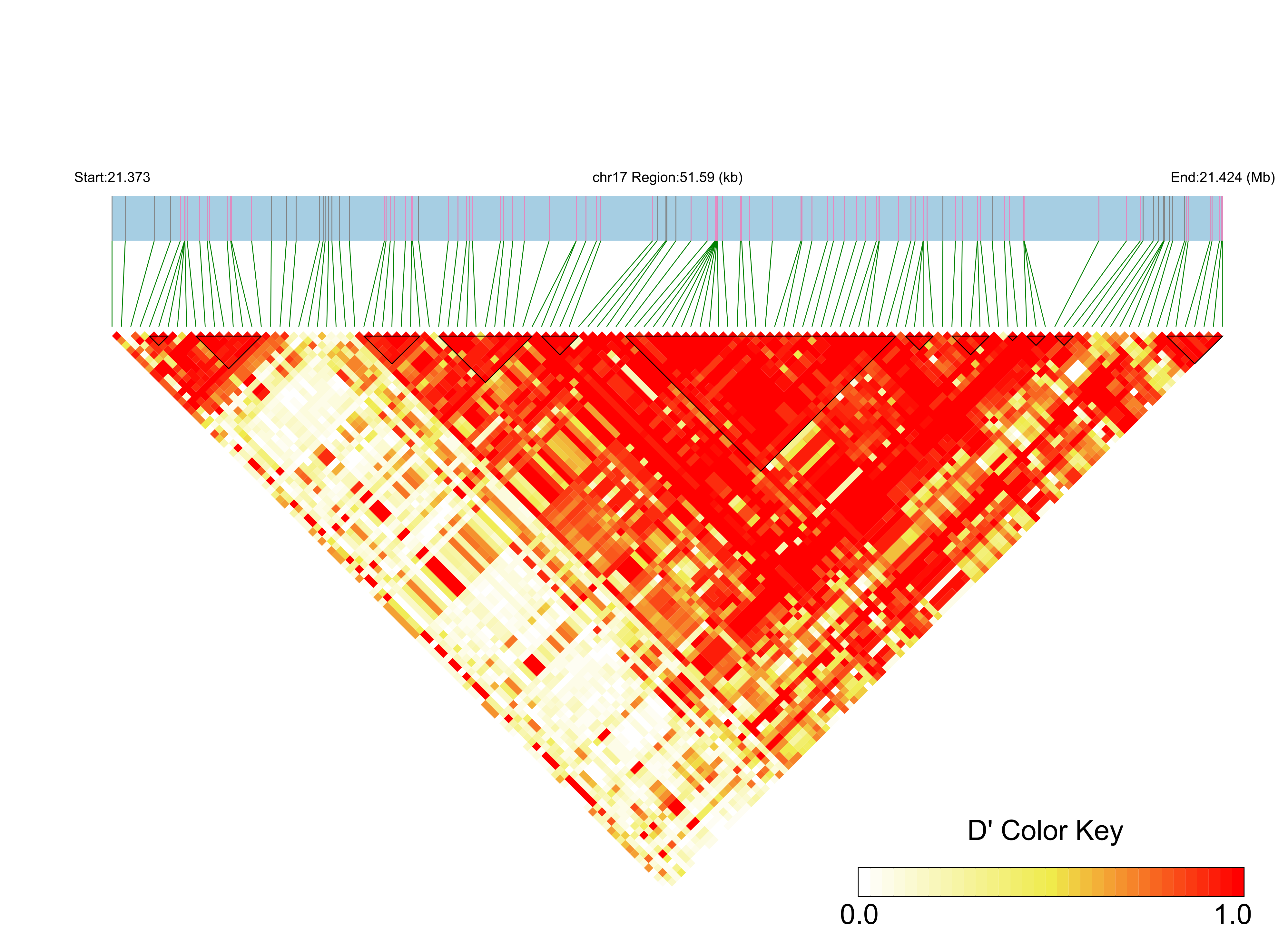 LD