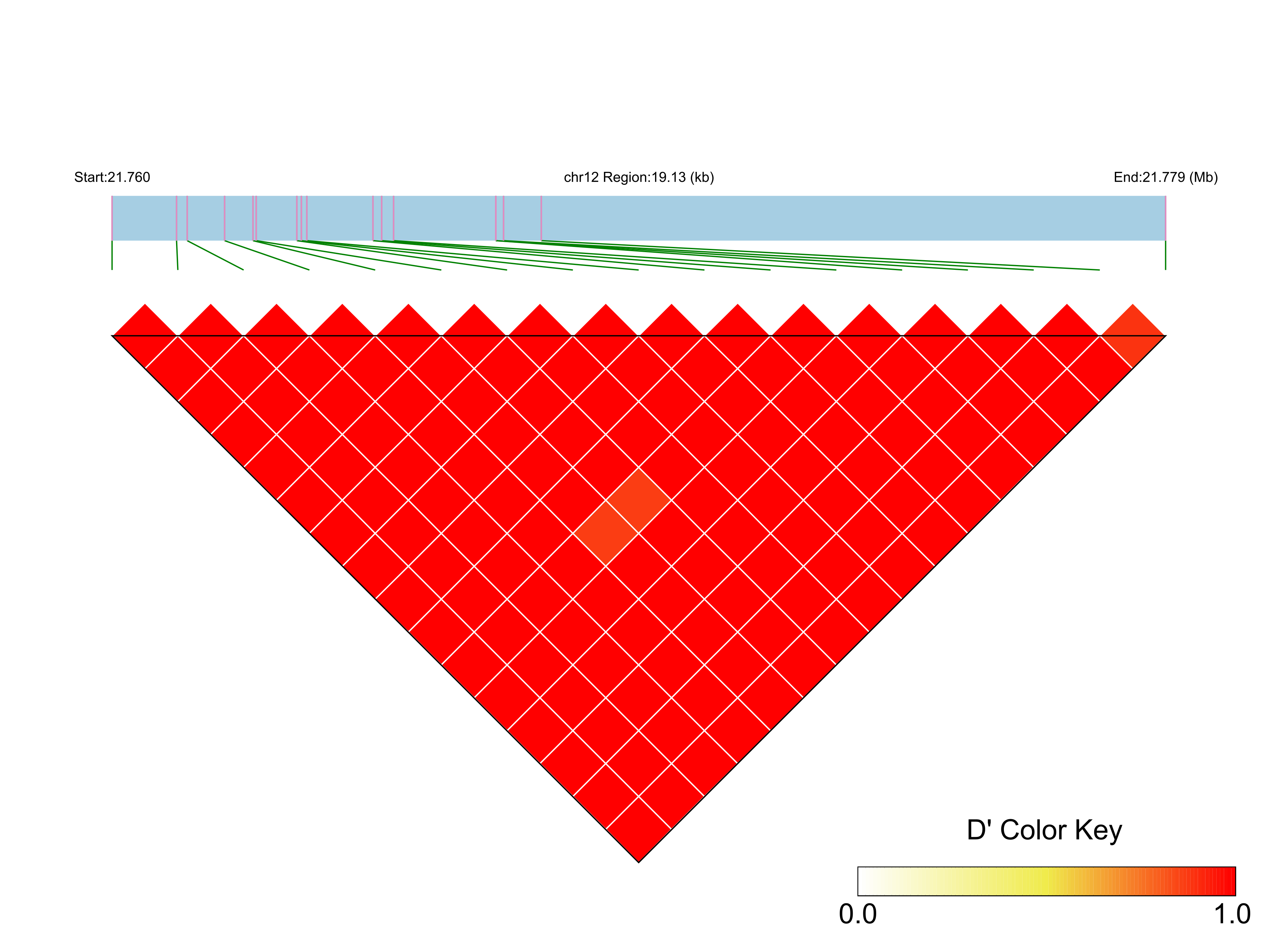 LD