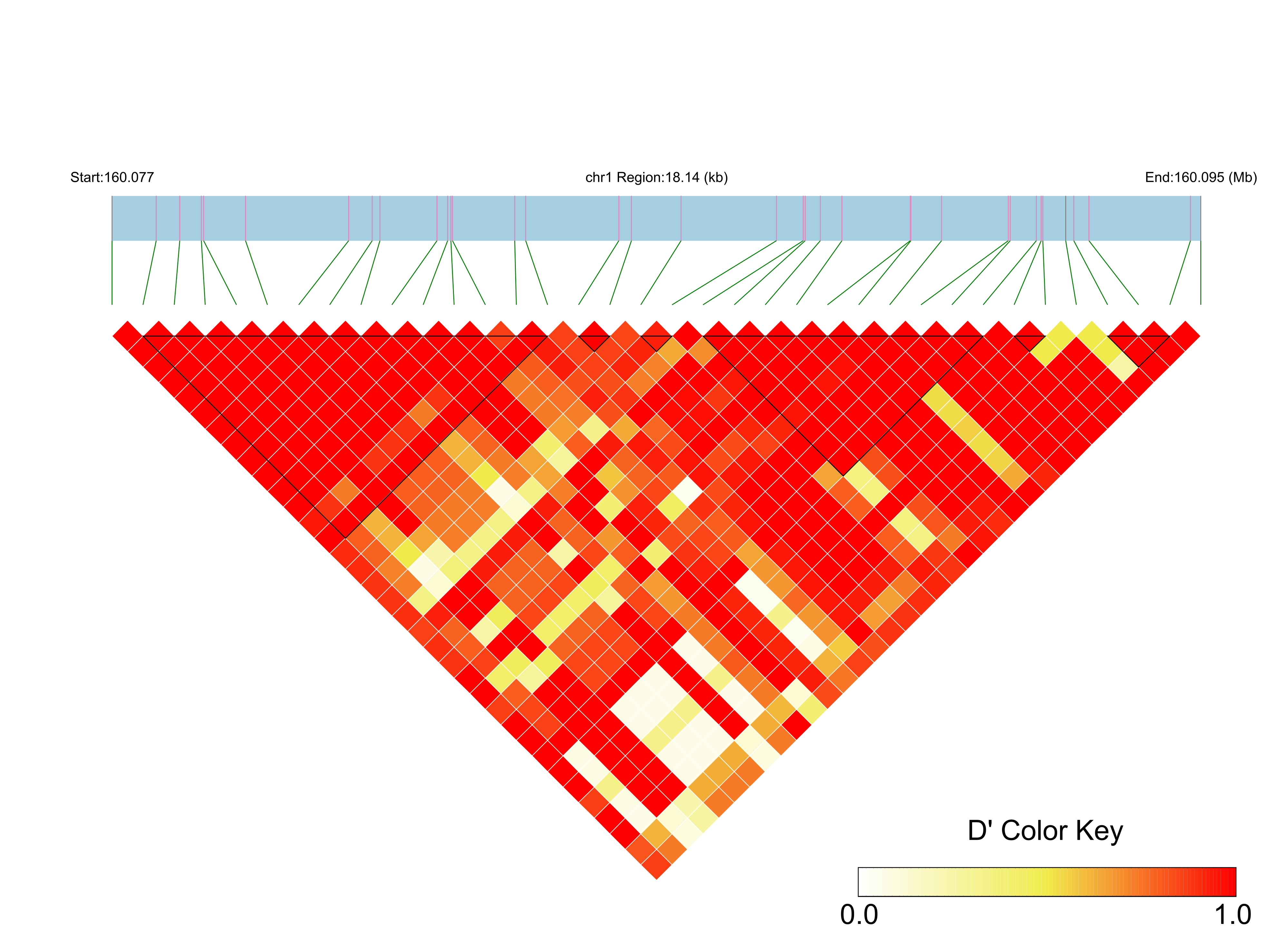 LD
