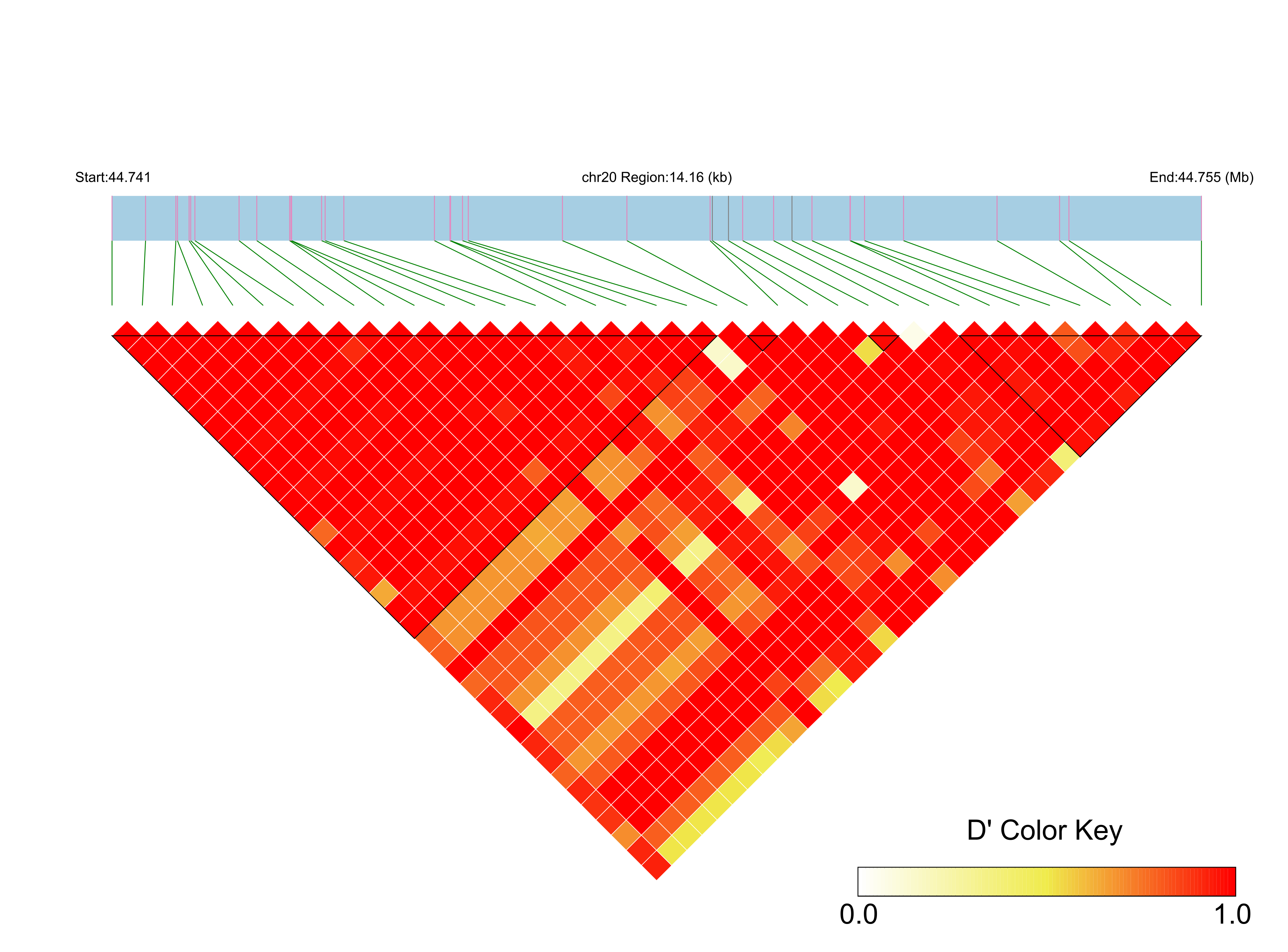 LD