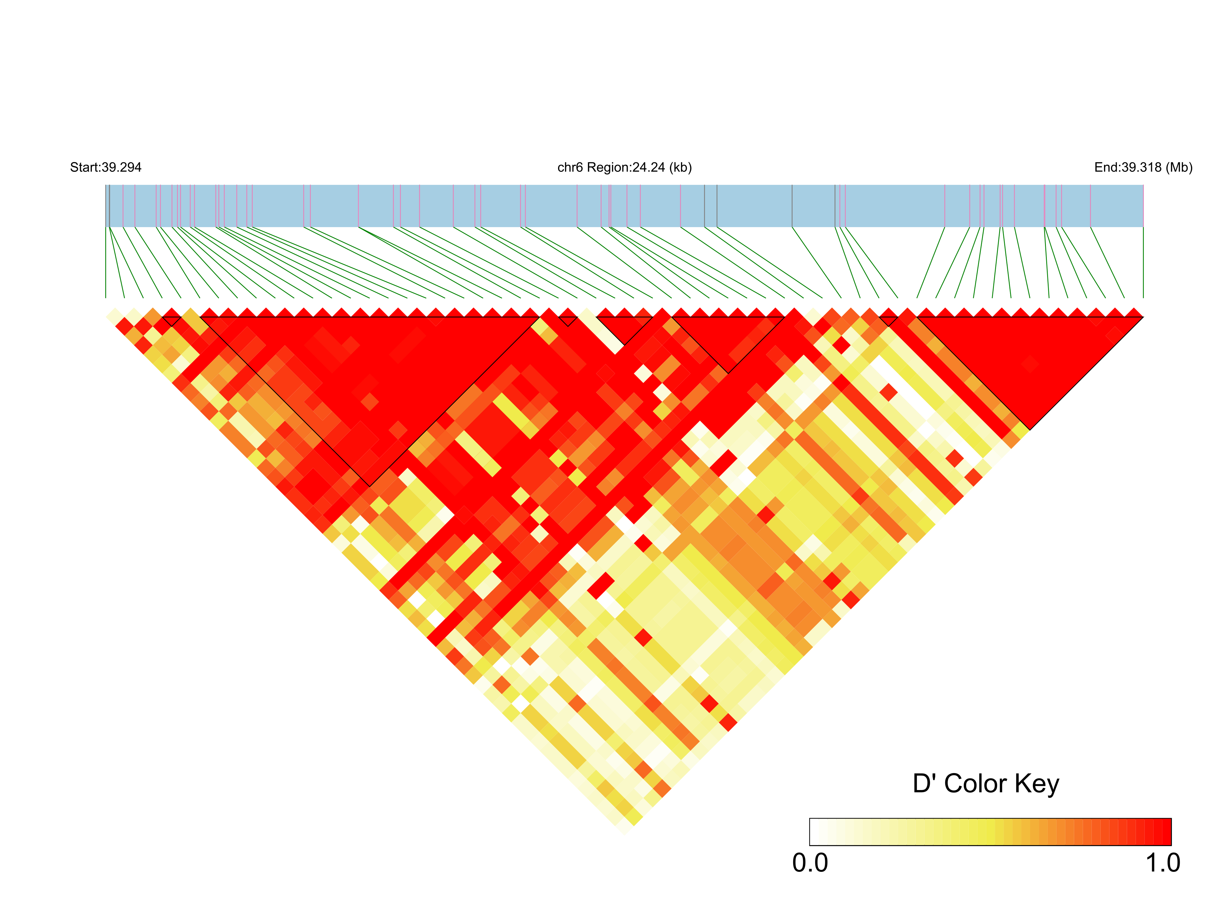 LD