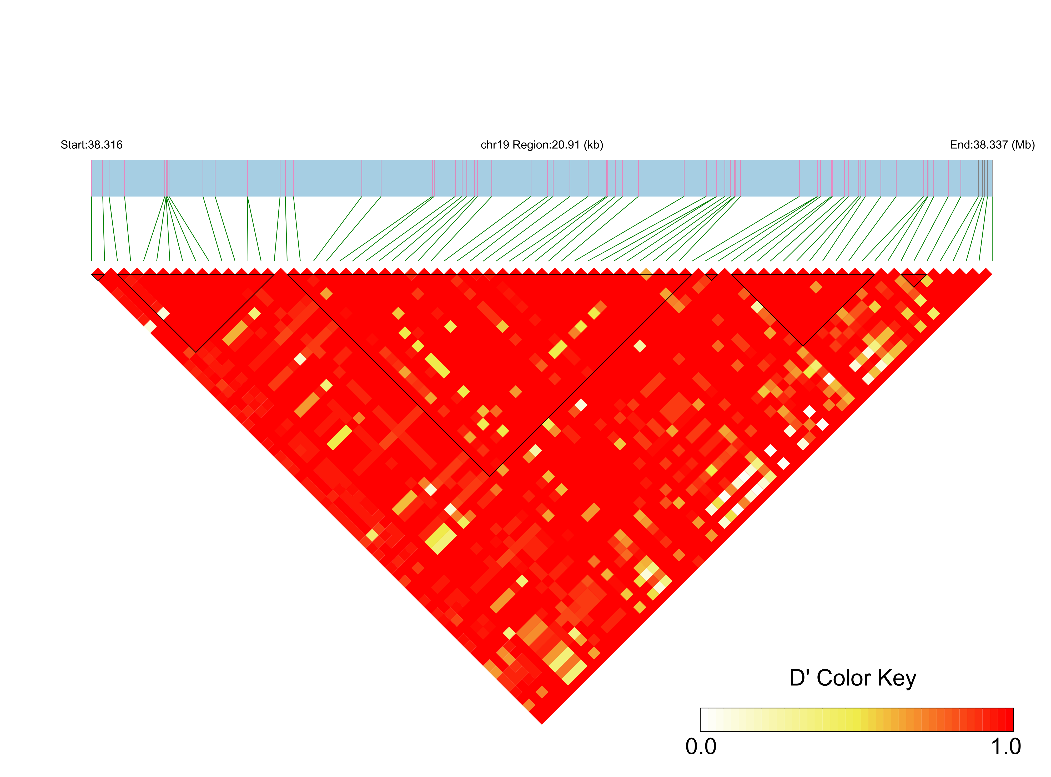 LD