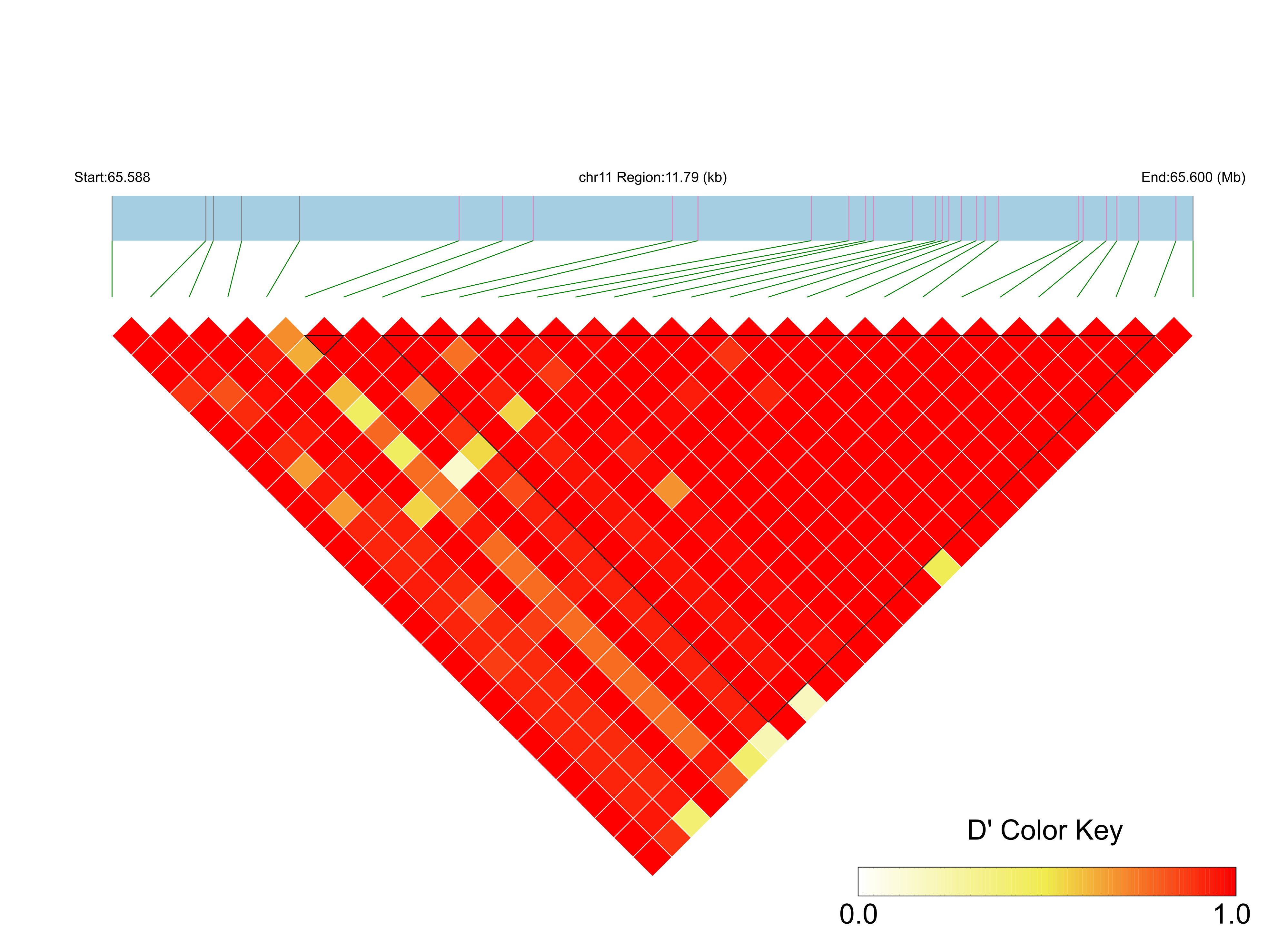 LD