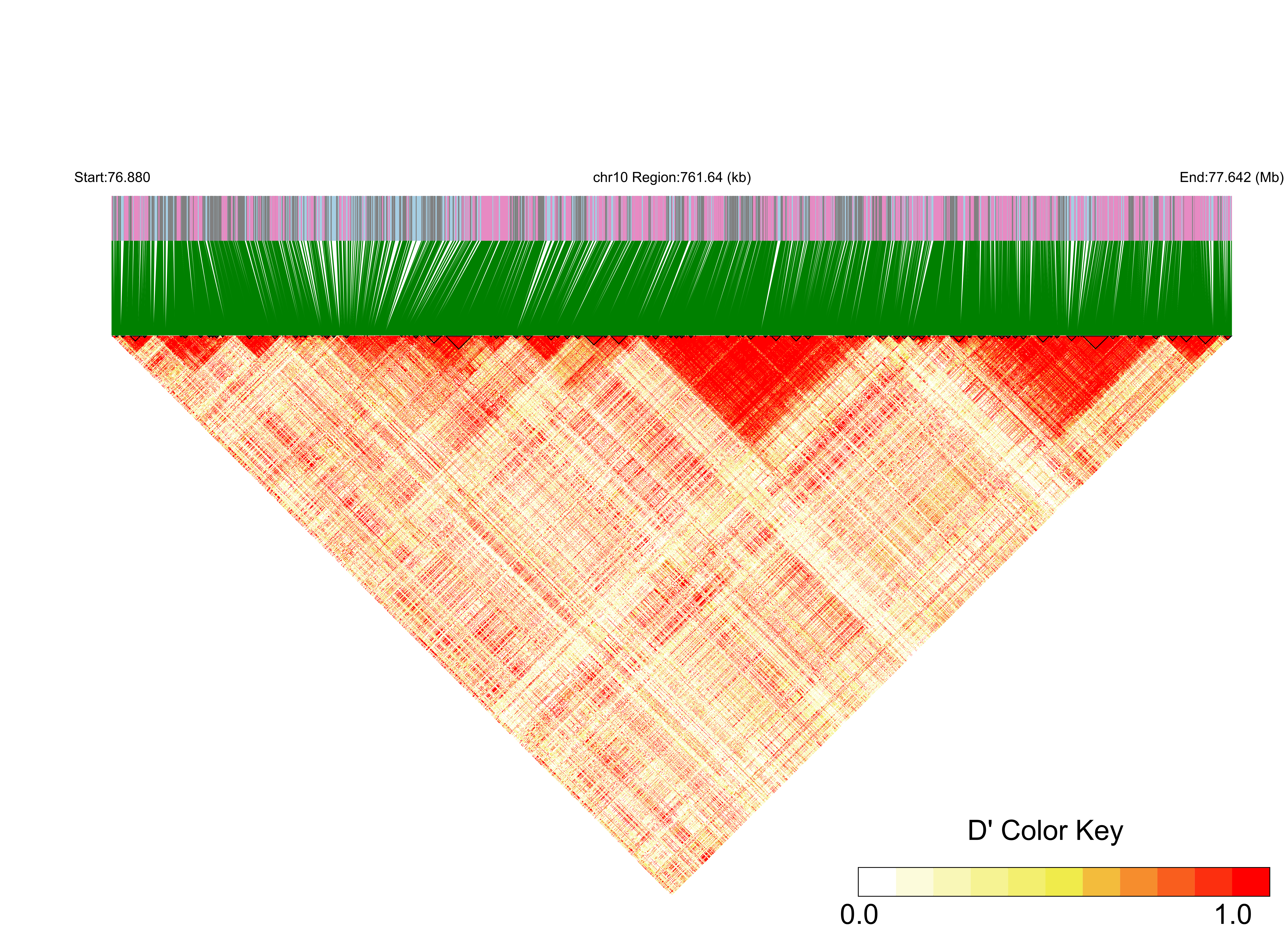 LD
