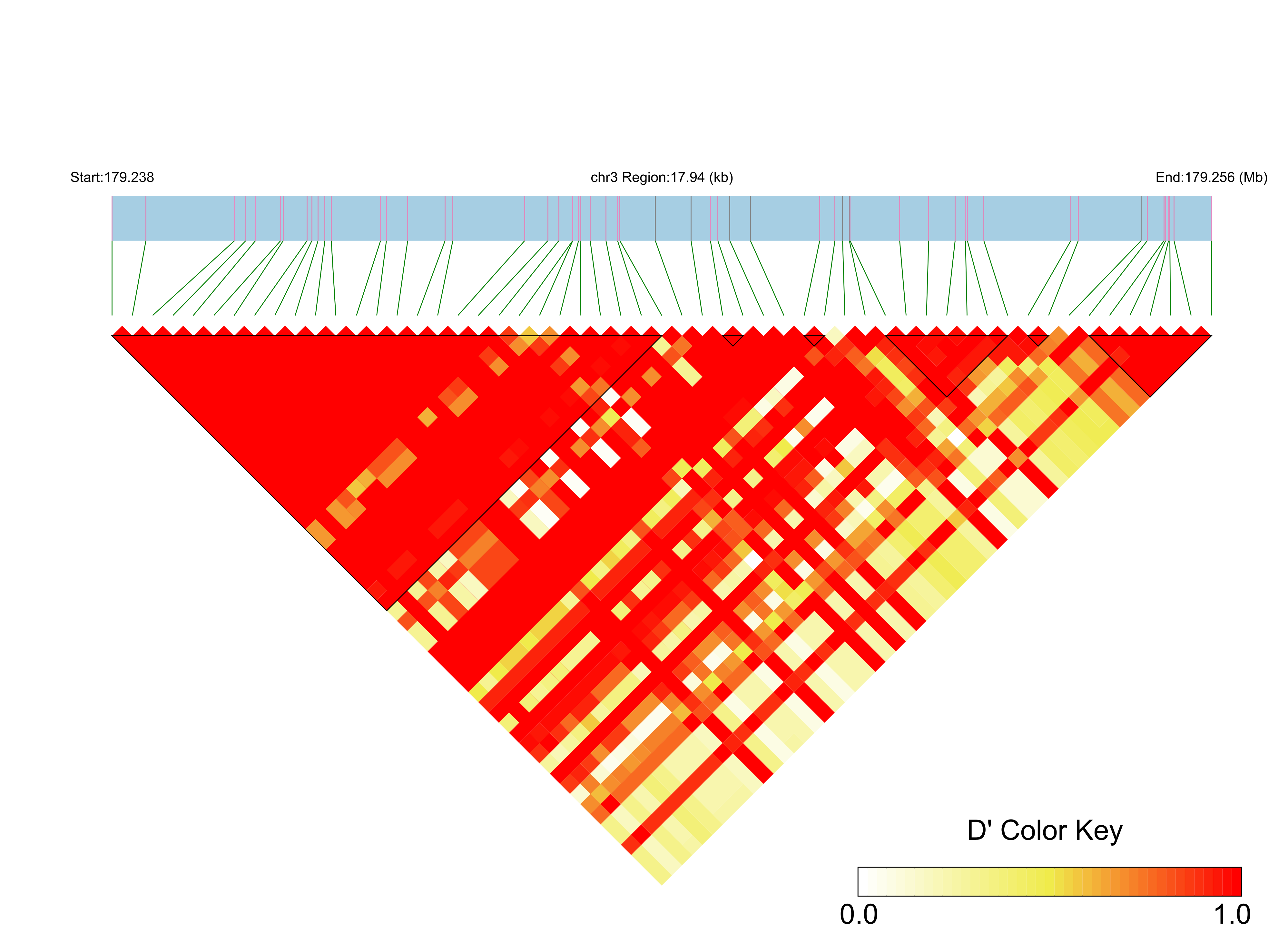 LD