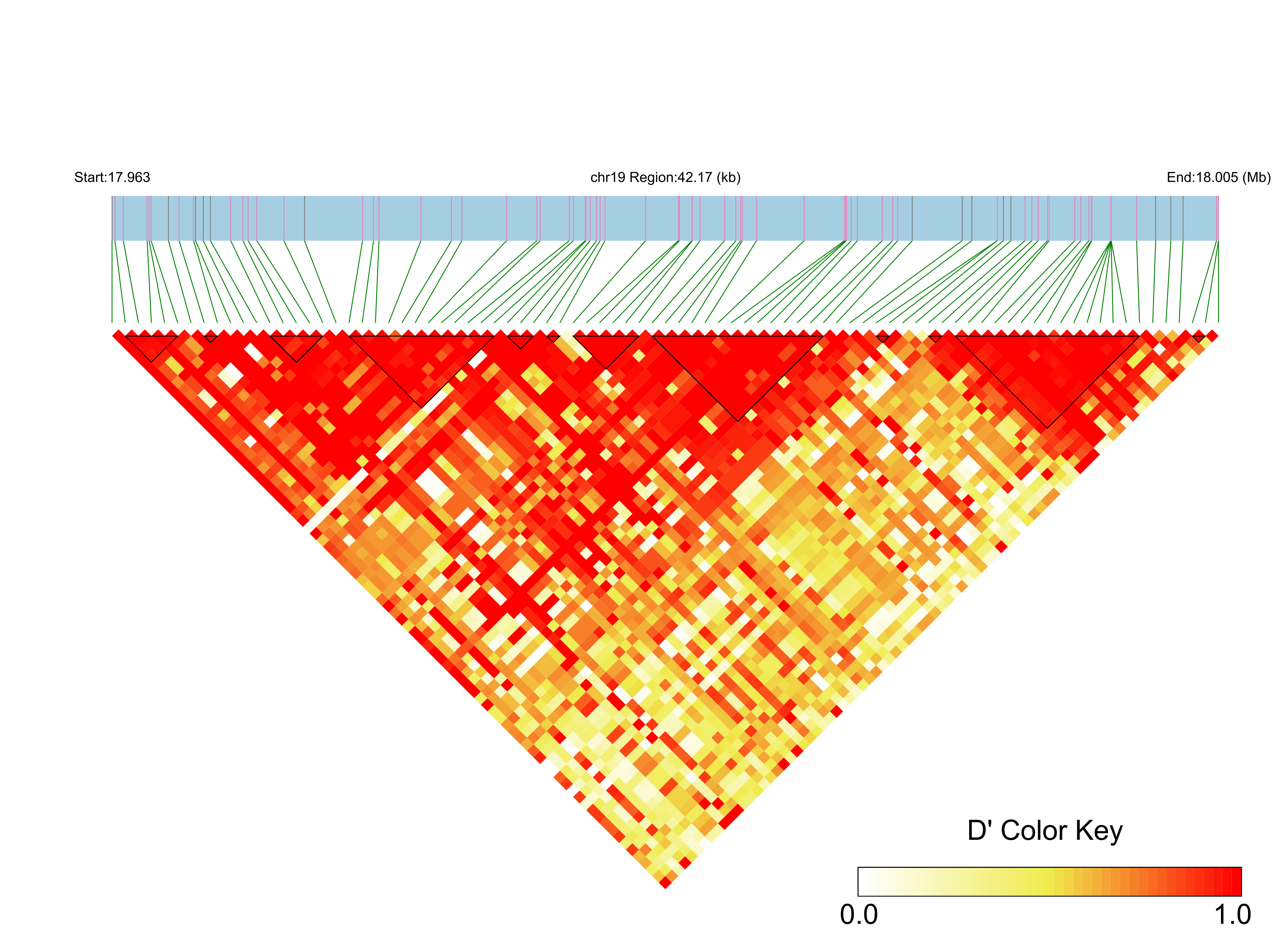 LD