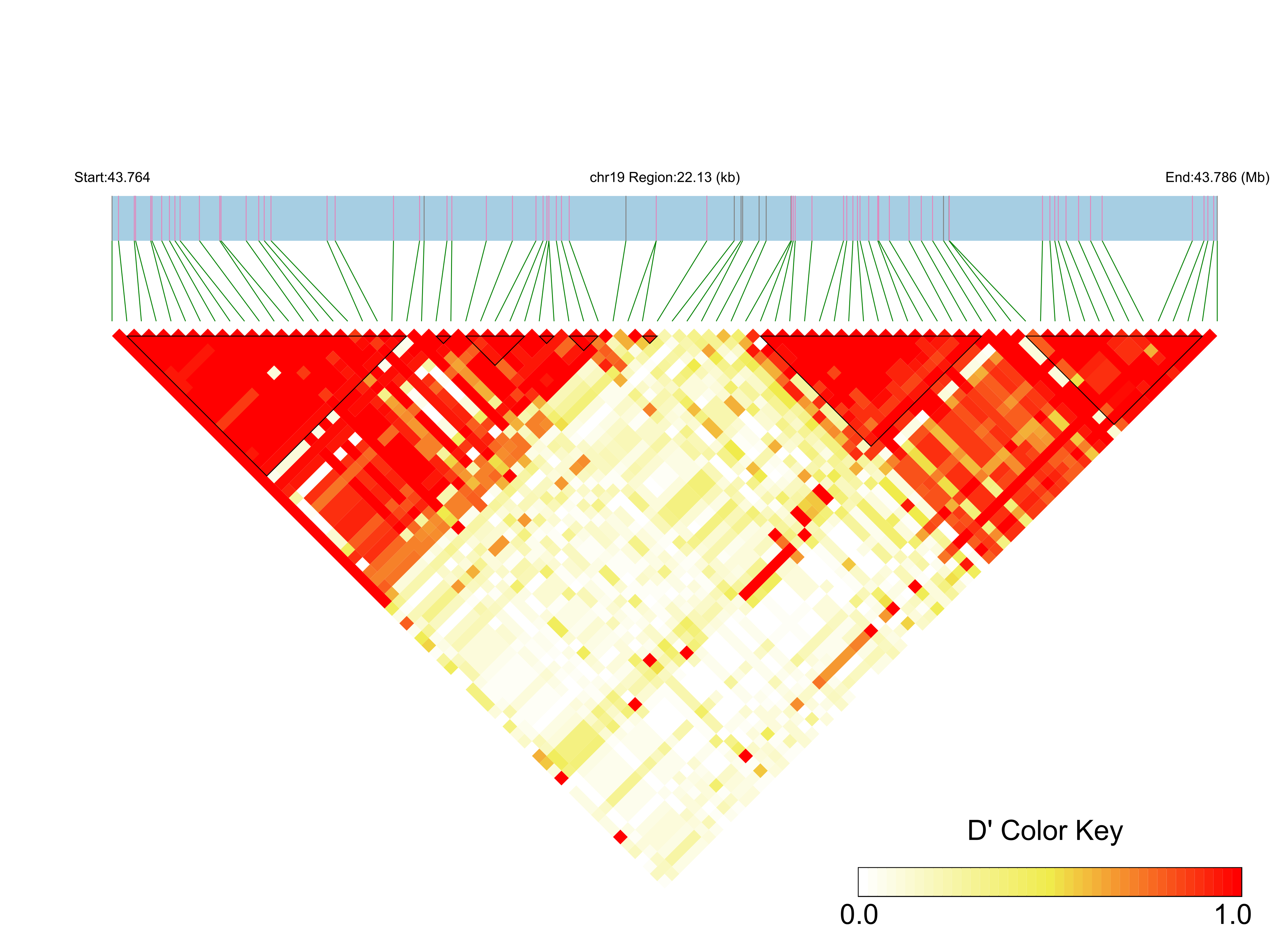 LD