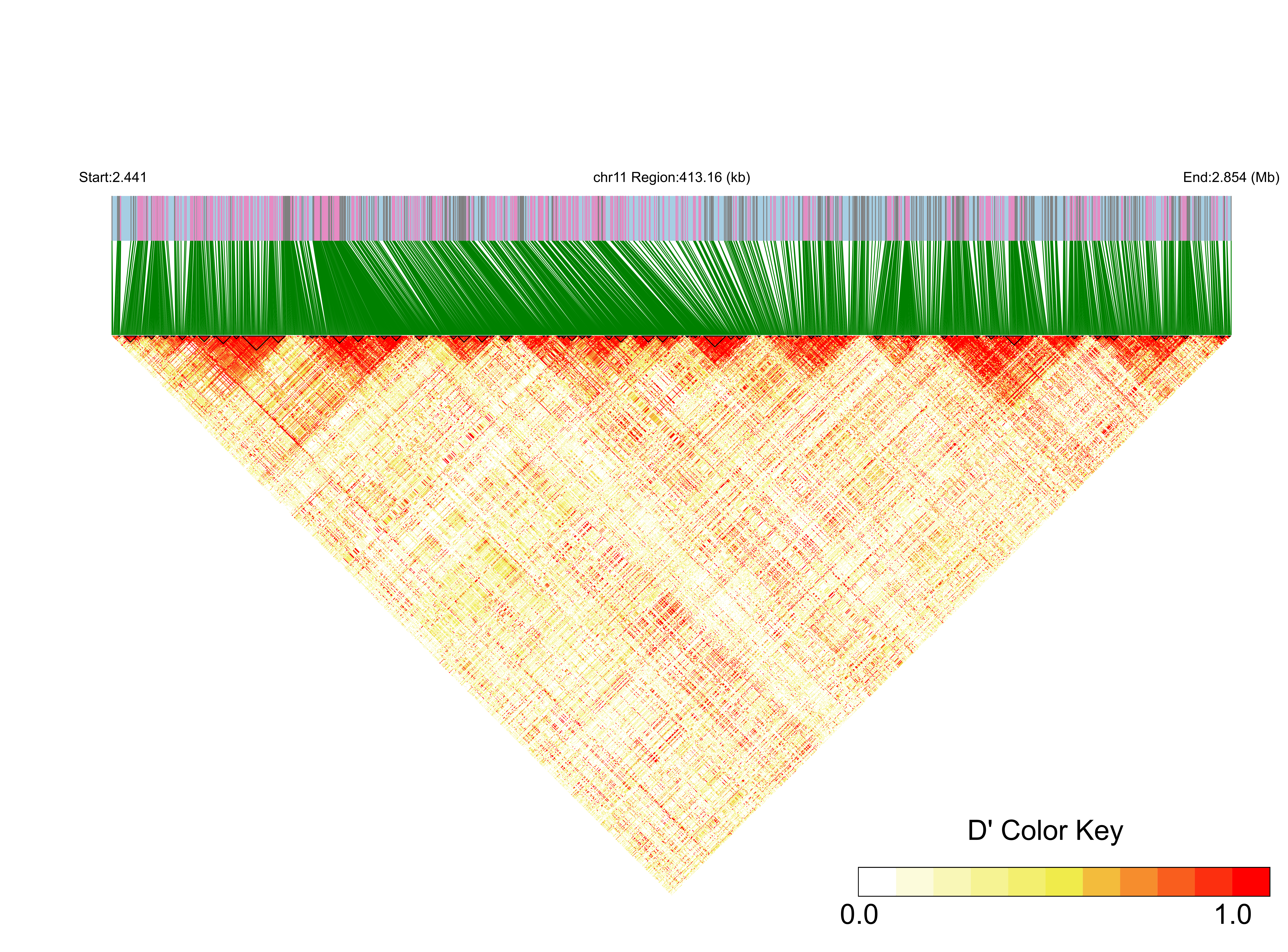 LD