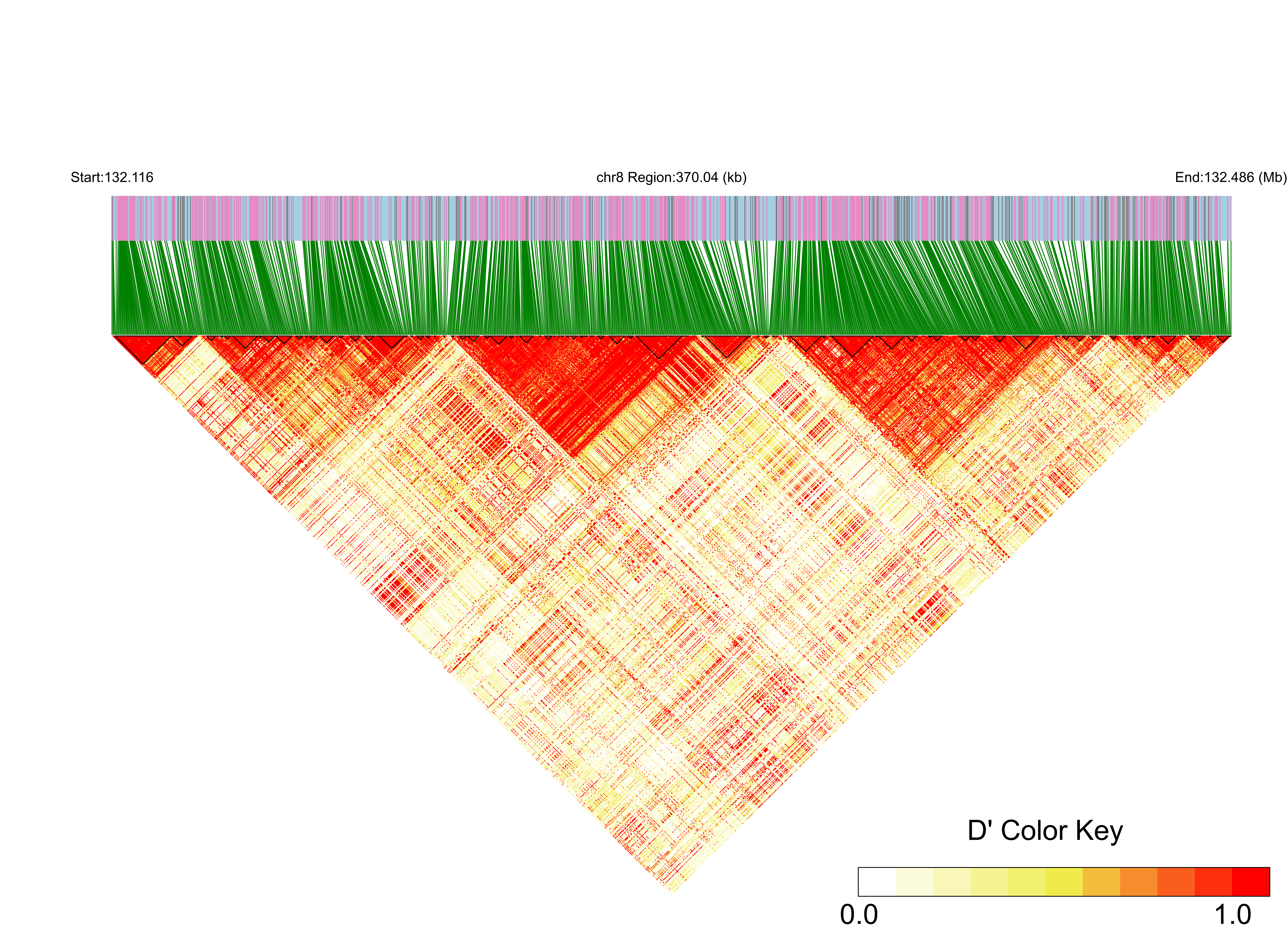 LD
