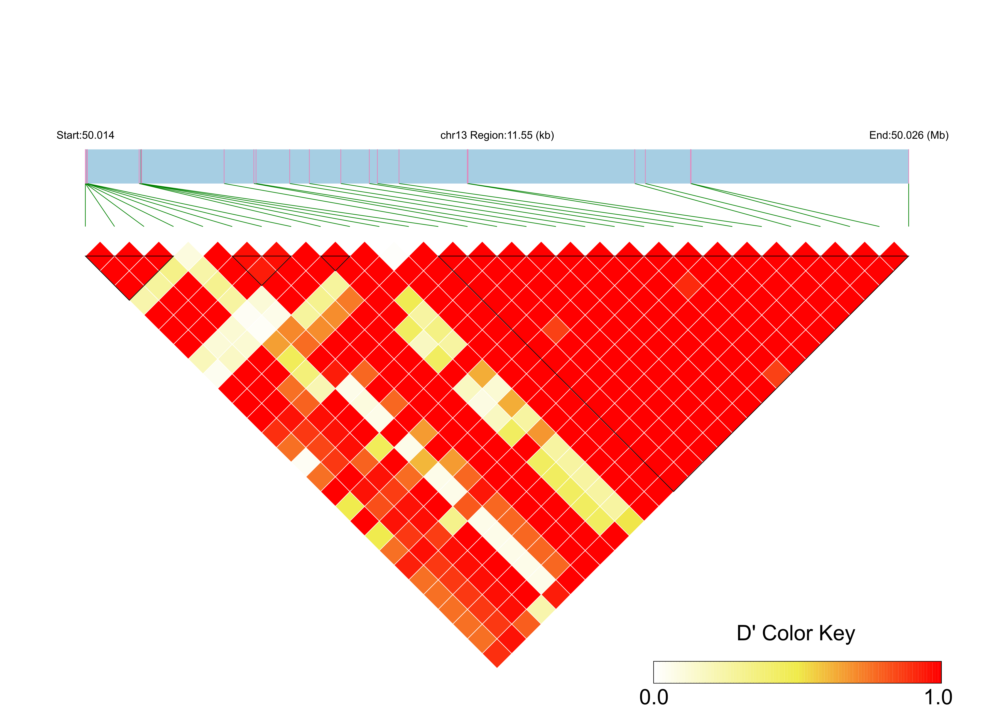 LD