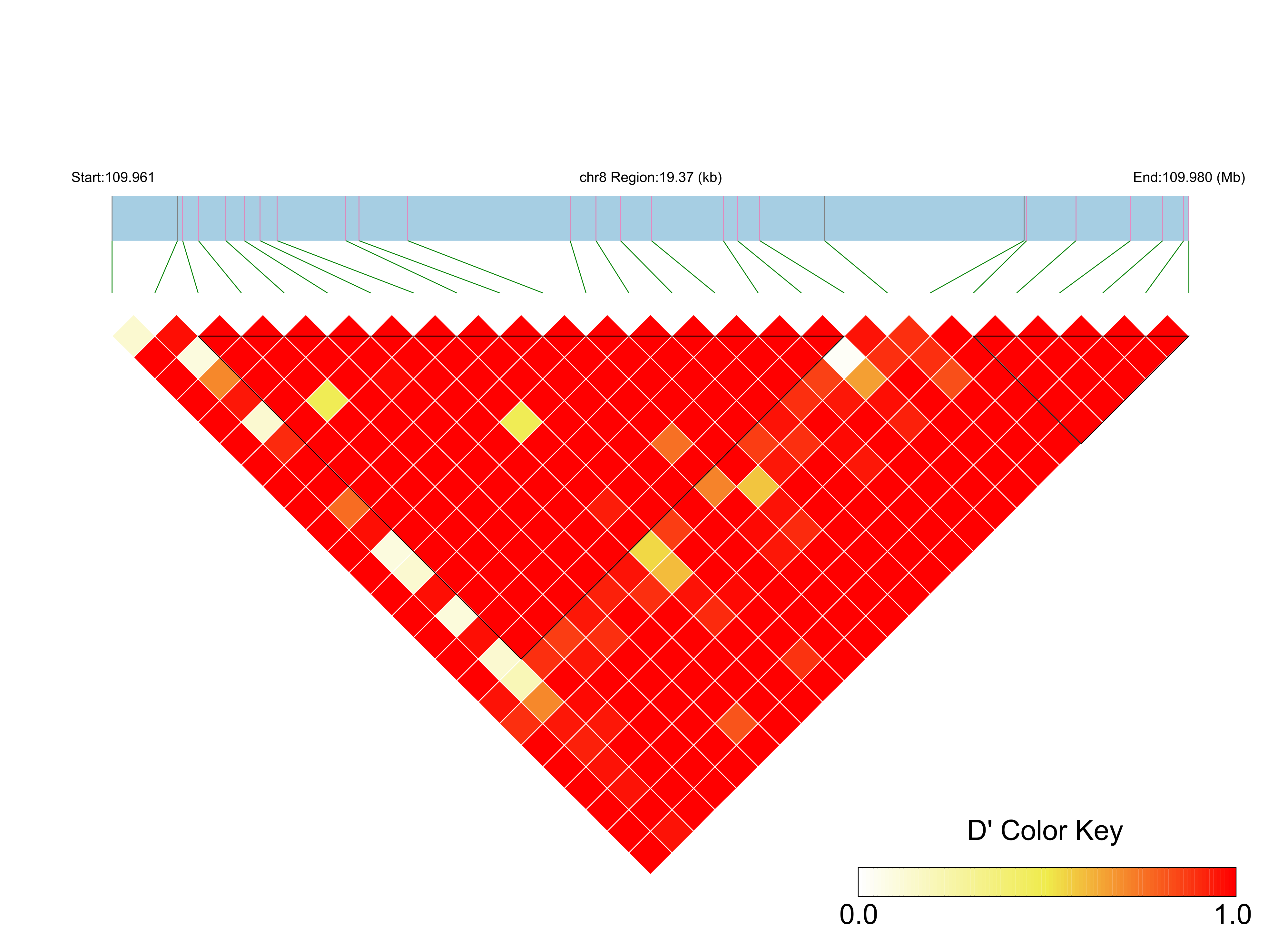 LD