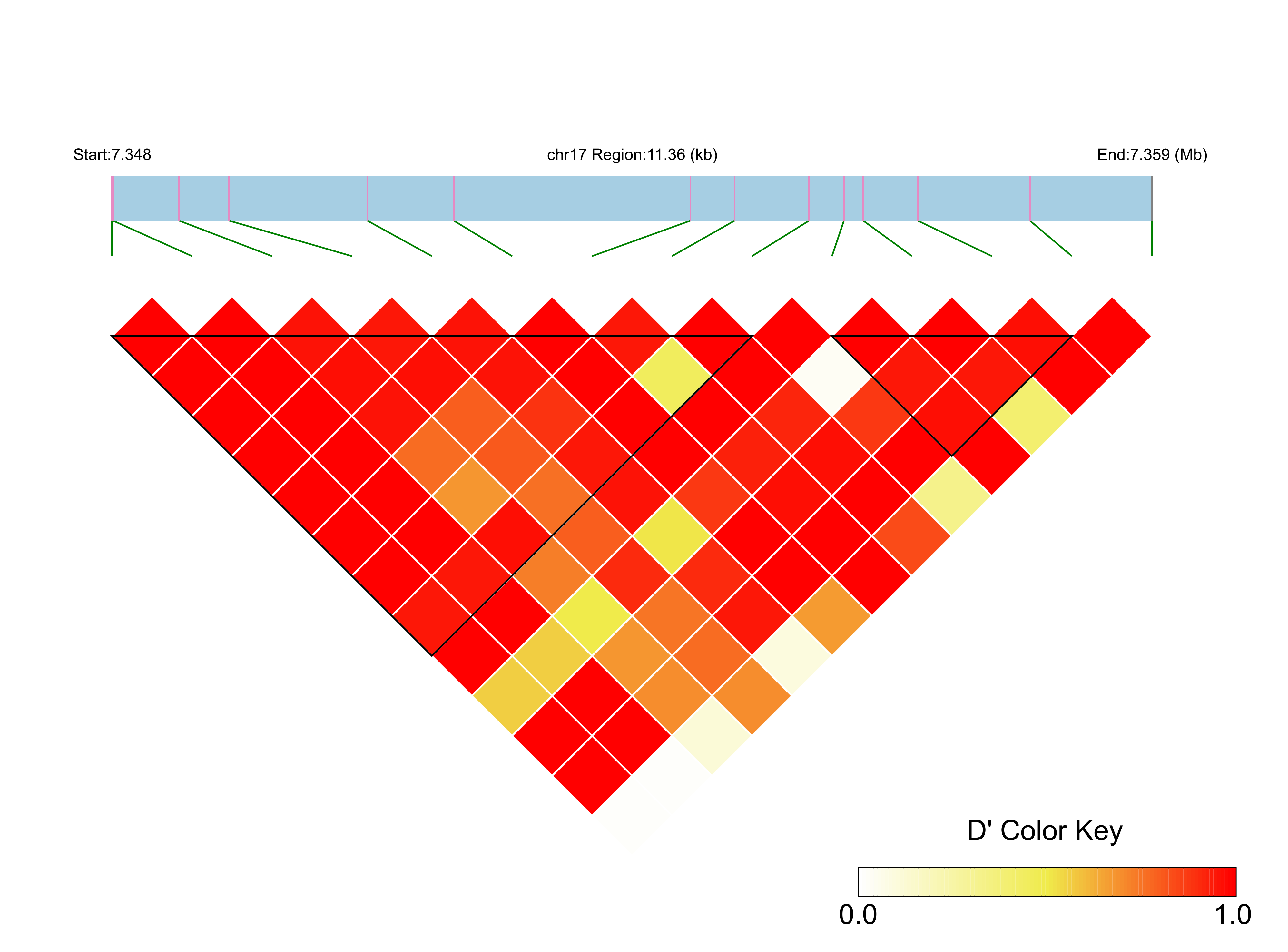LD