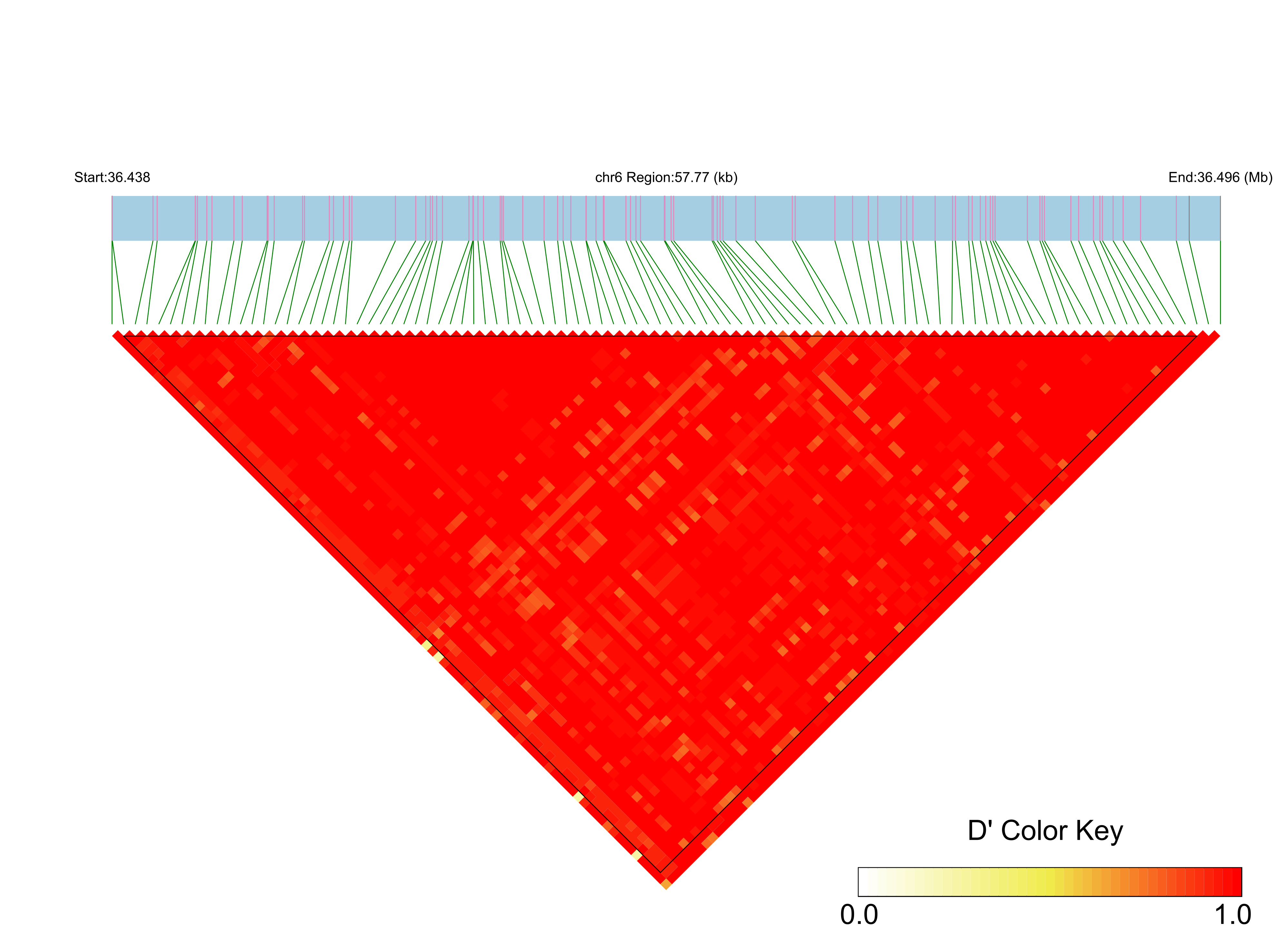 LD