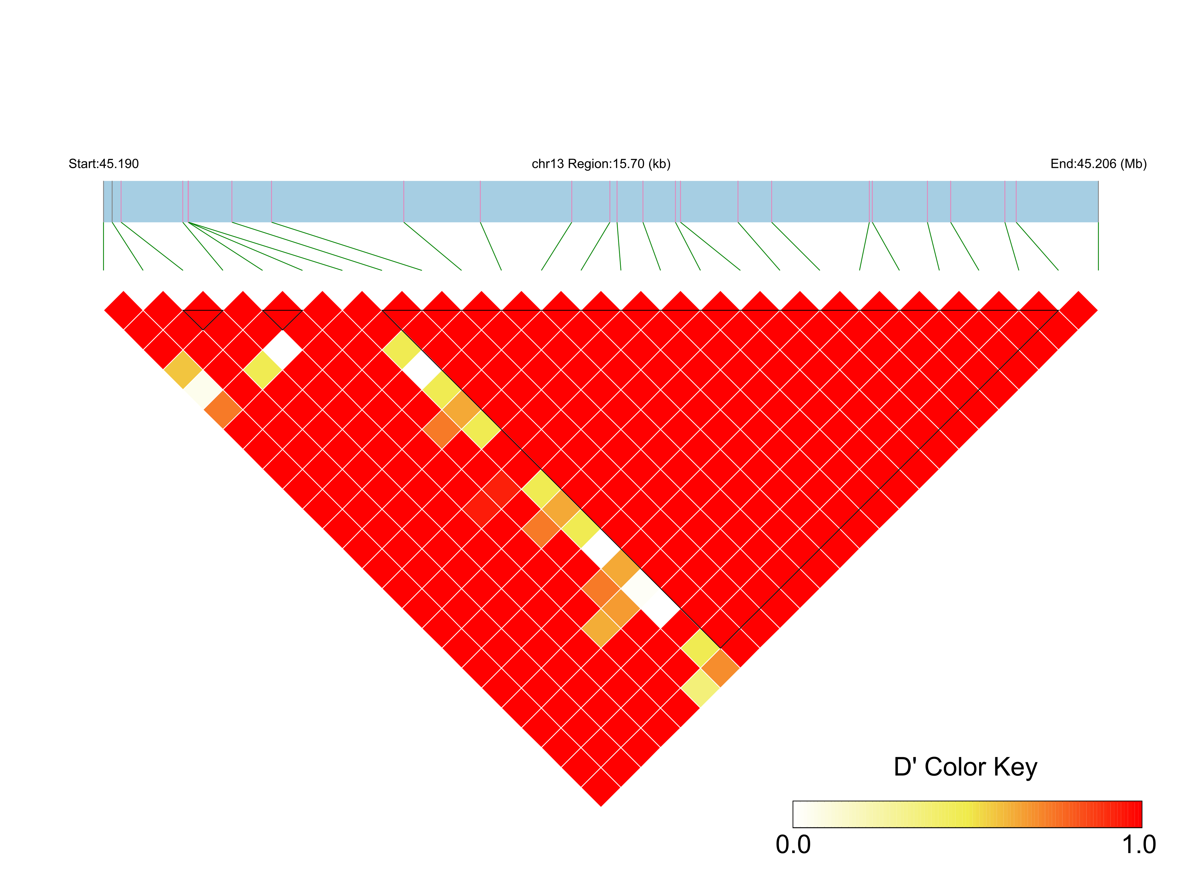 LD