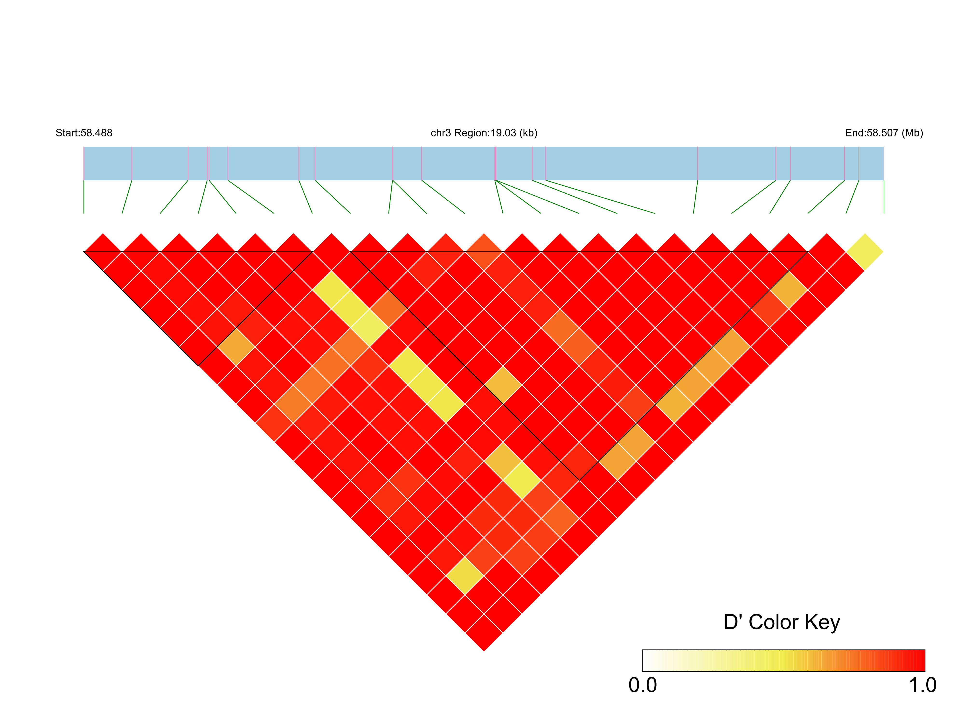 LD