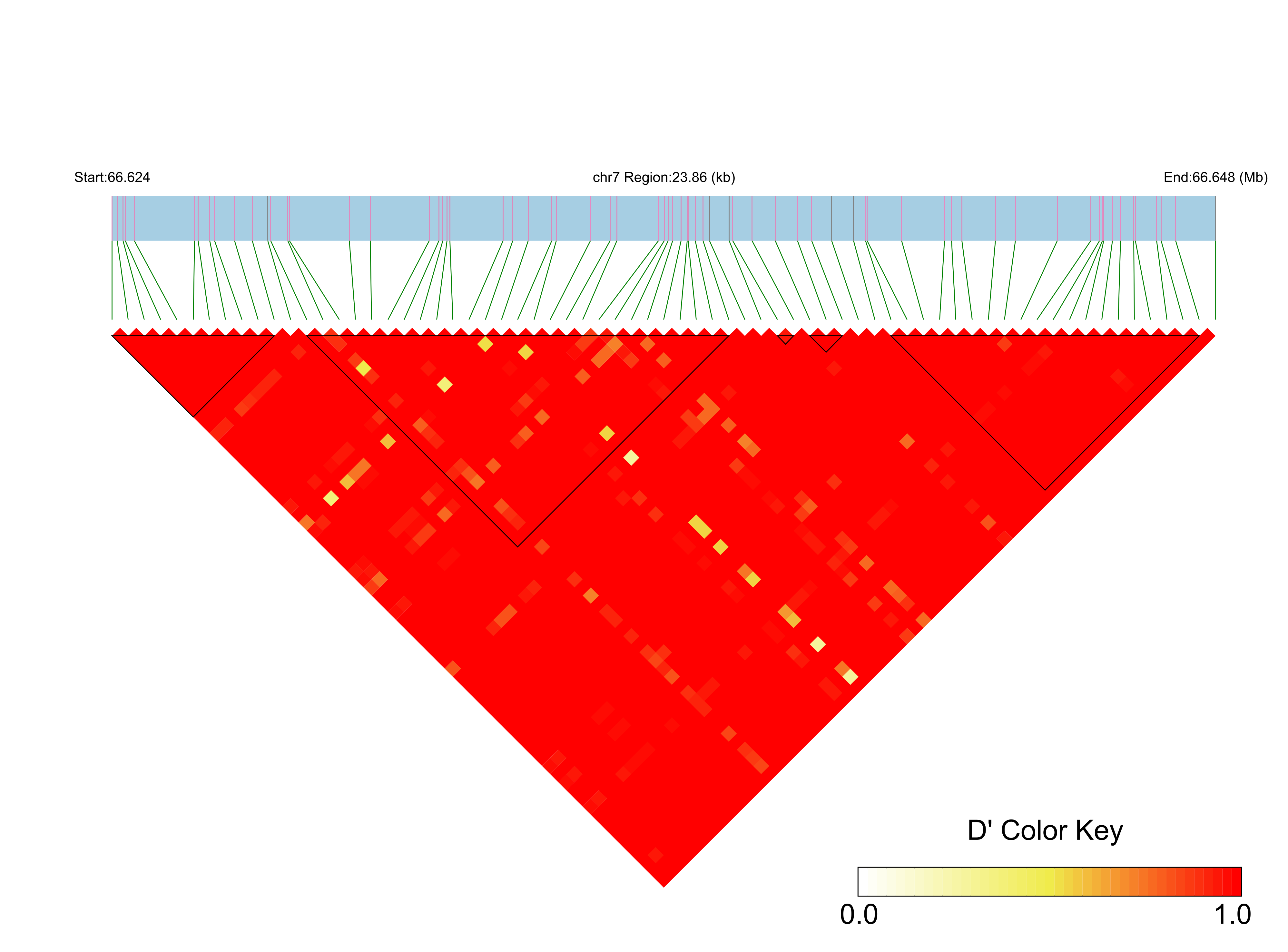 LD