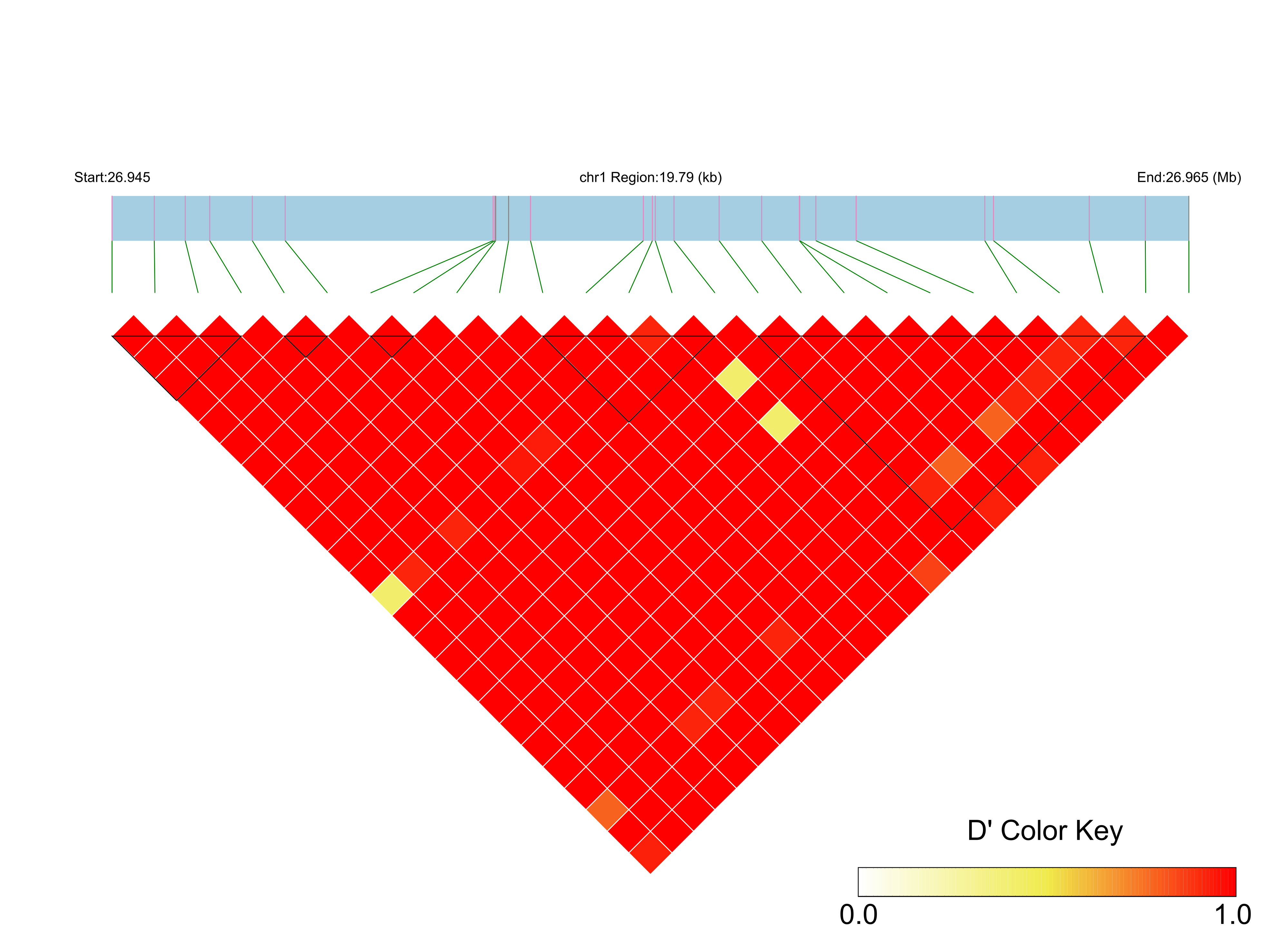 LD