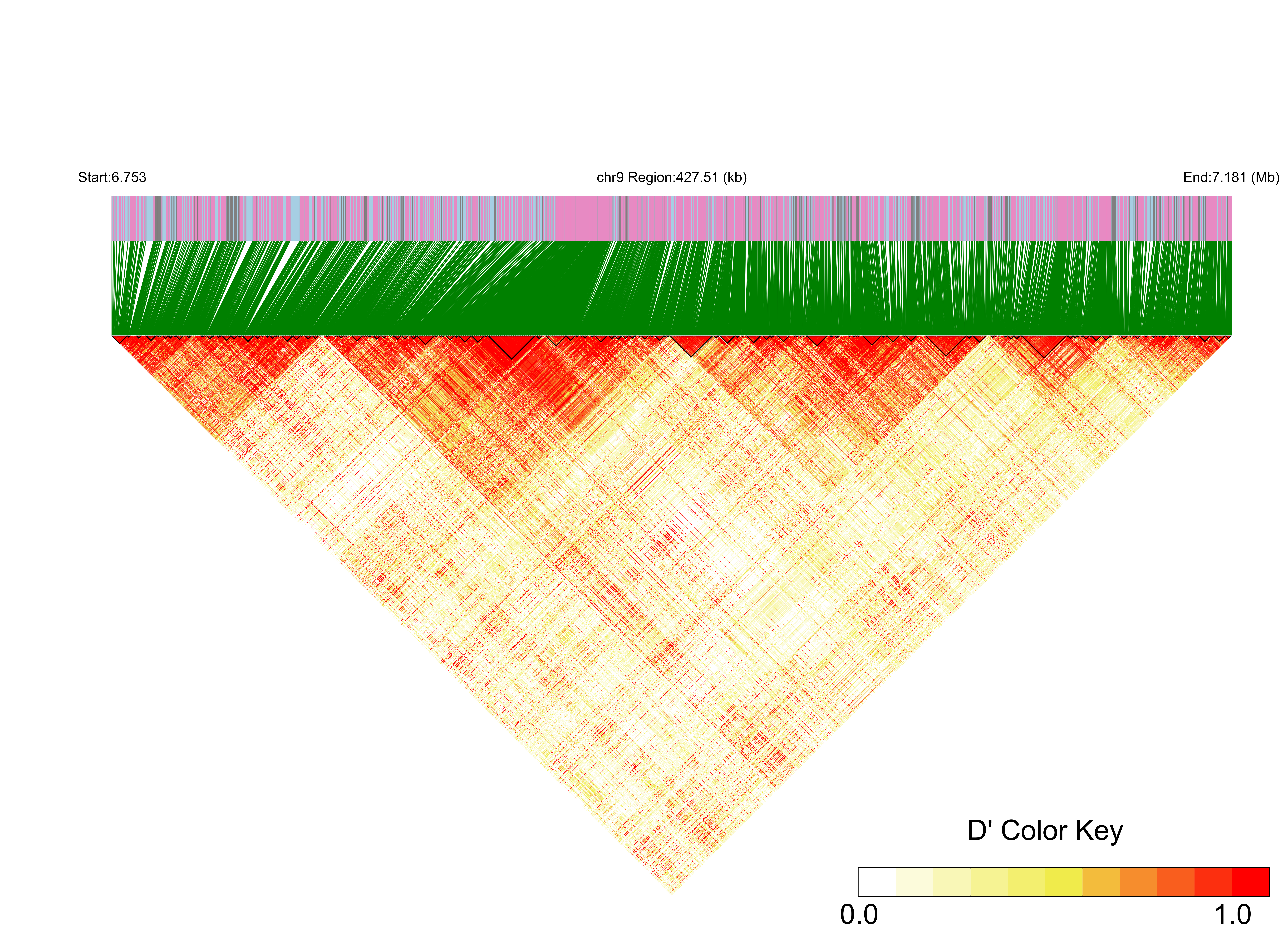 LD