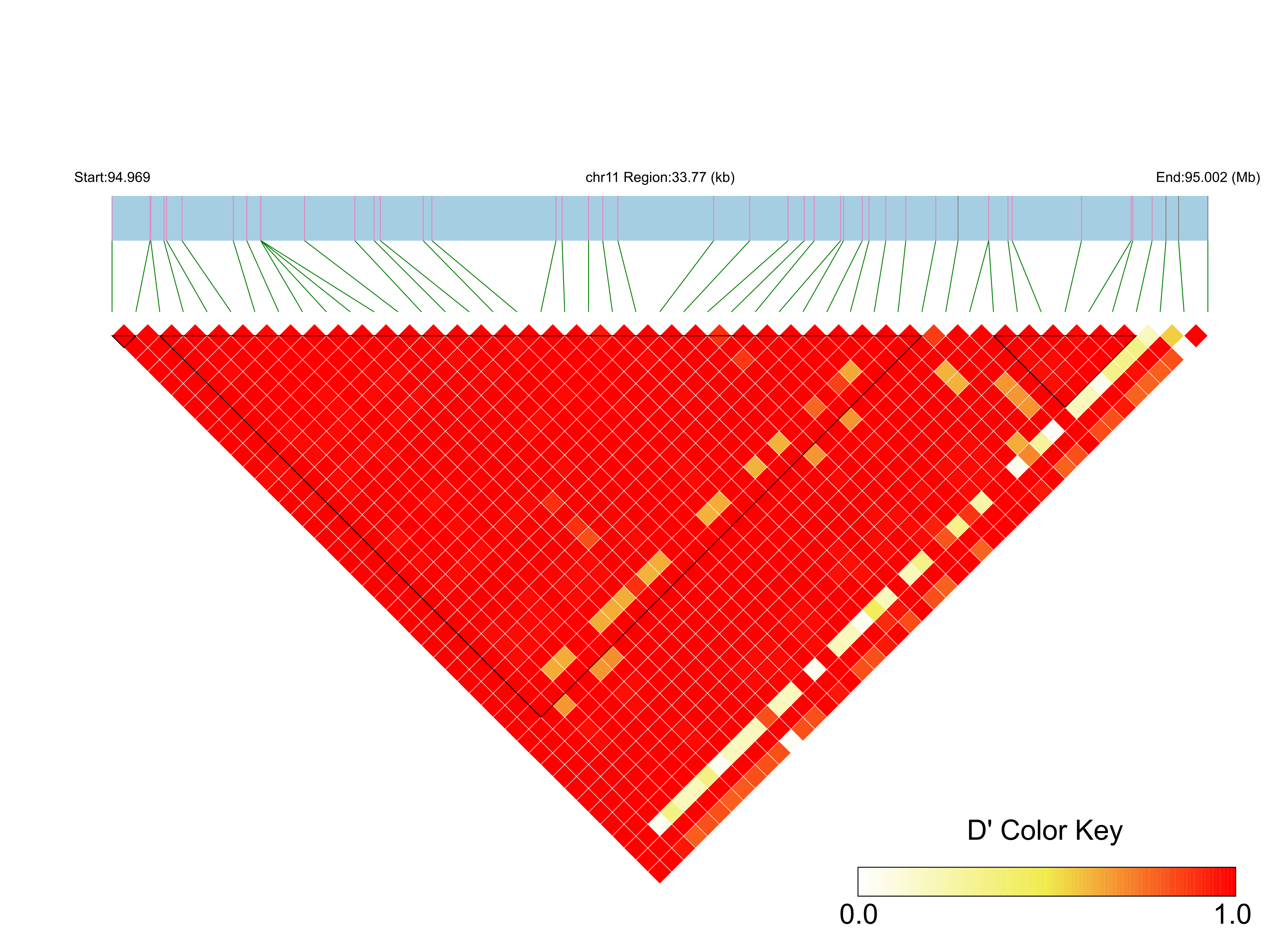 LD