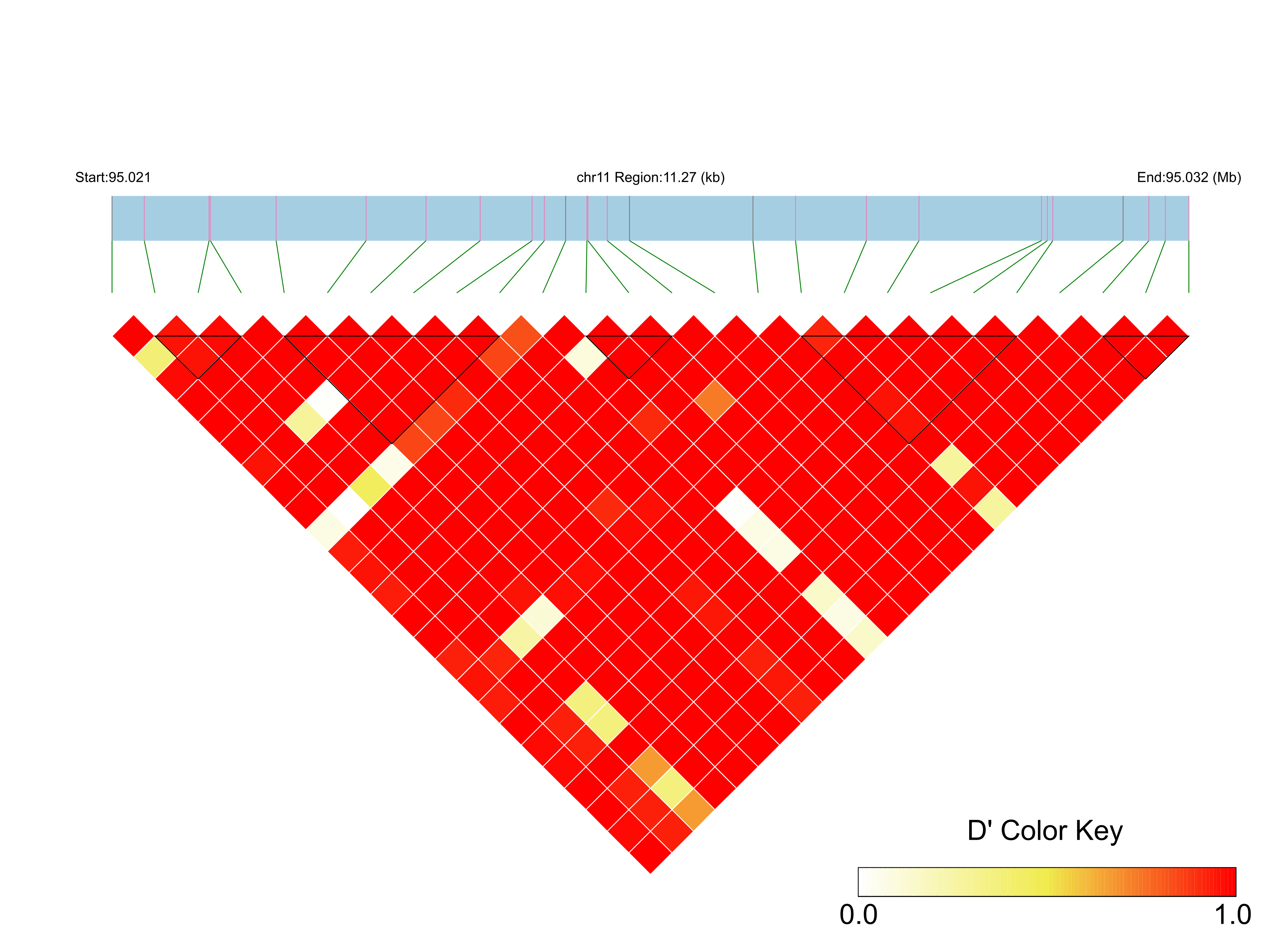 LD